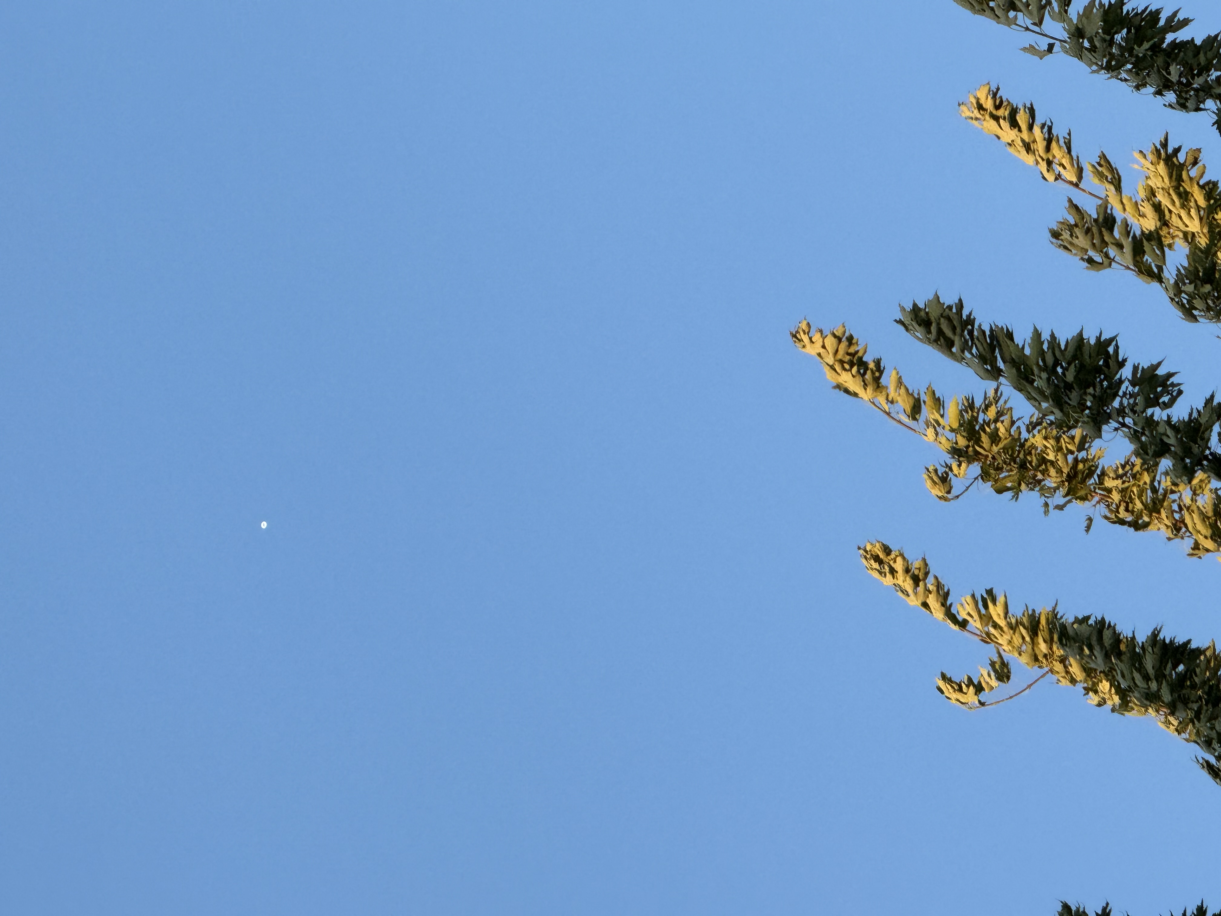 Image from report NUFORC_182520