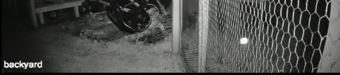 Image from report NUFORC_182528