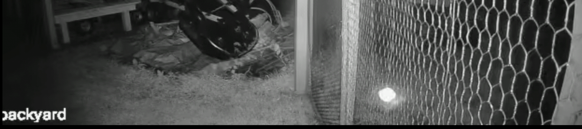 Image from report NUFORC_182528