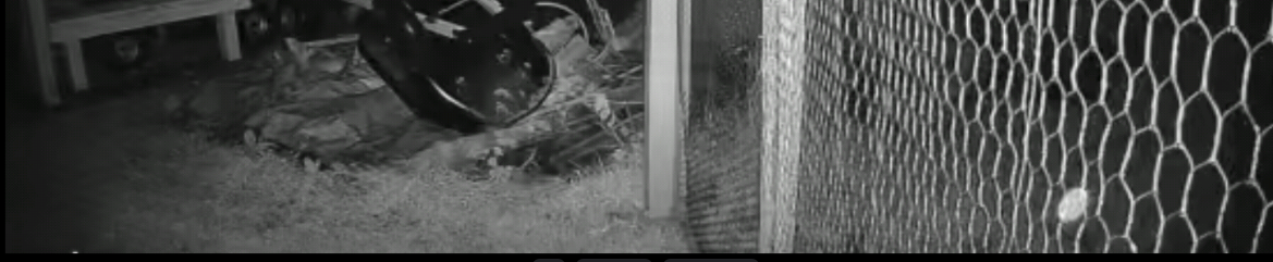 Image from report NUFORC_182528