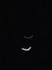 Image from report NUFORC_182658