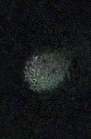 Image from report NUFORC_182658