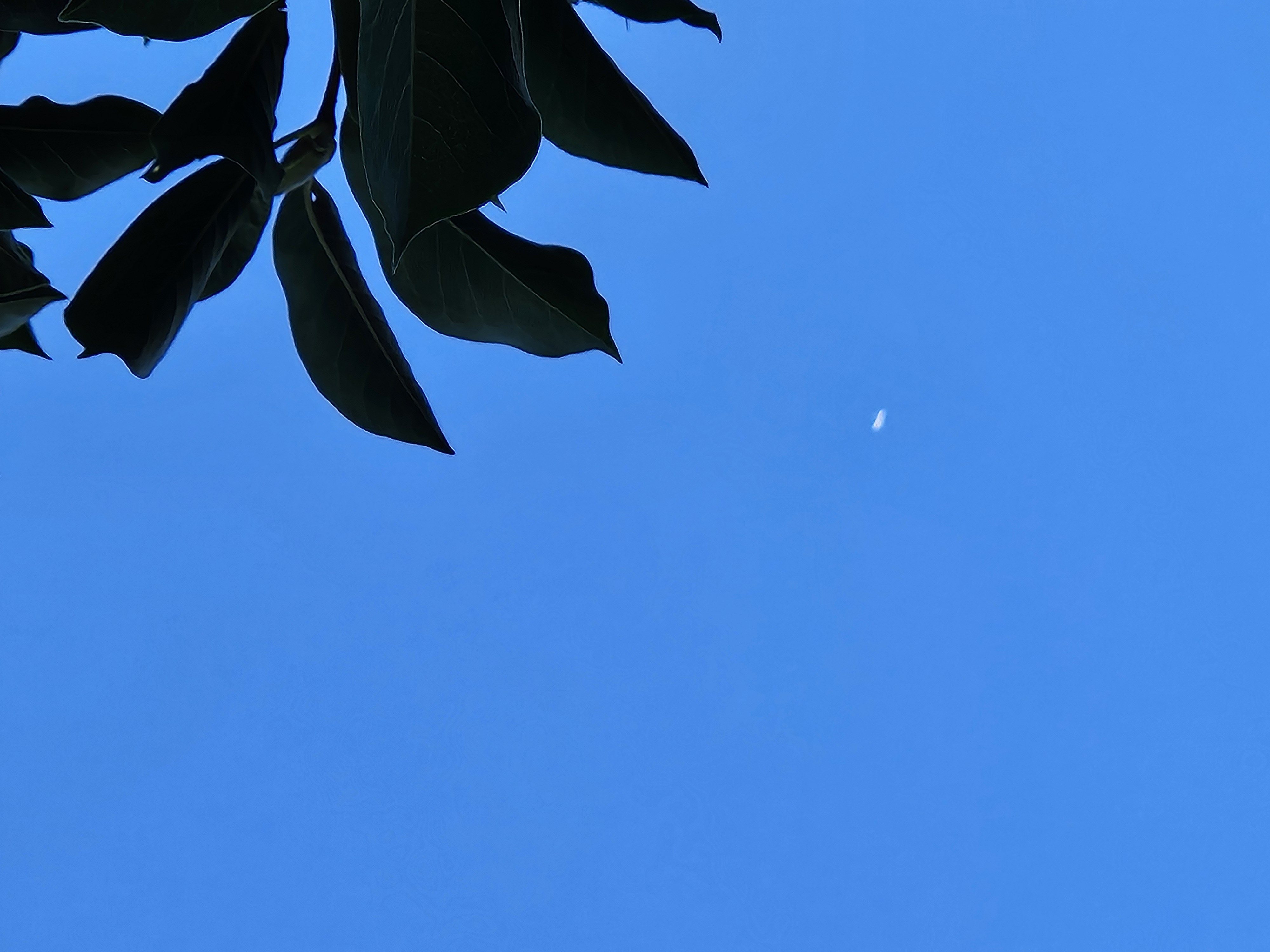 Image from report NUFORC_182702