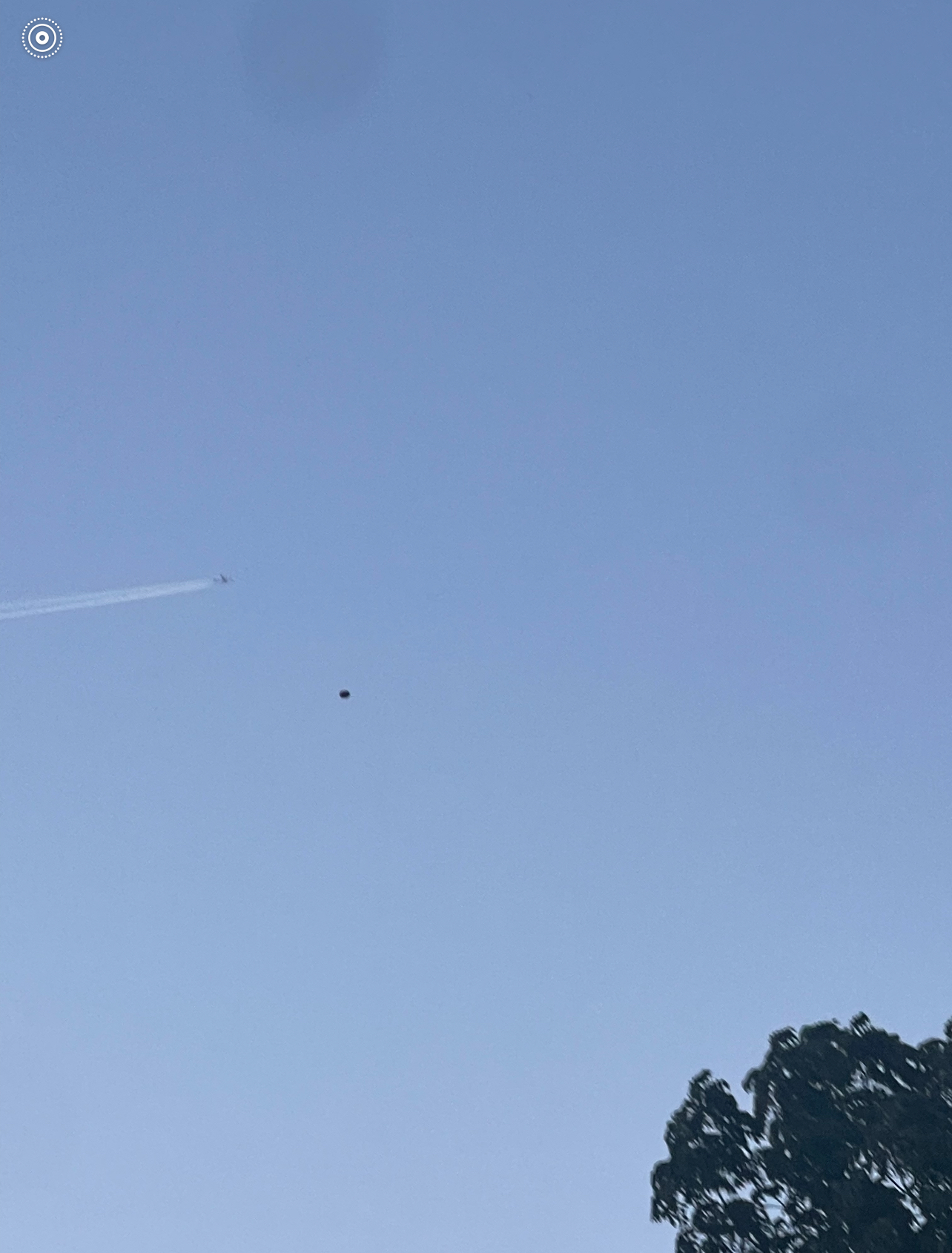 Image from report NUFORC_182791