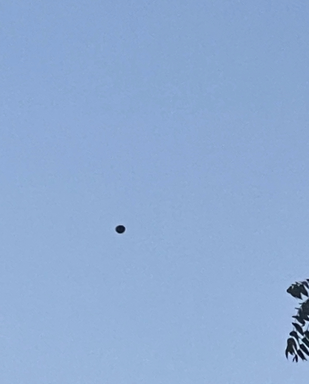 Image from report NUFORC_182791