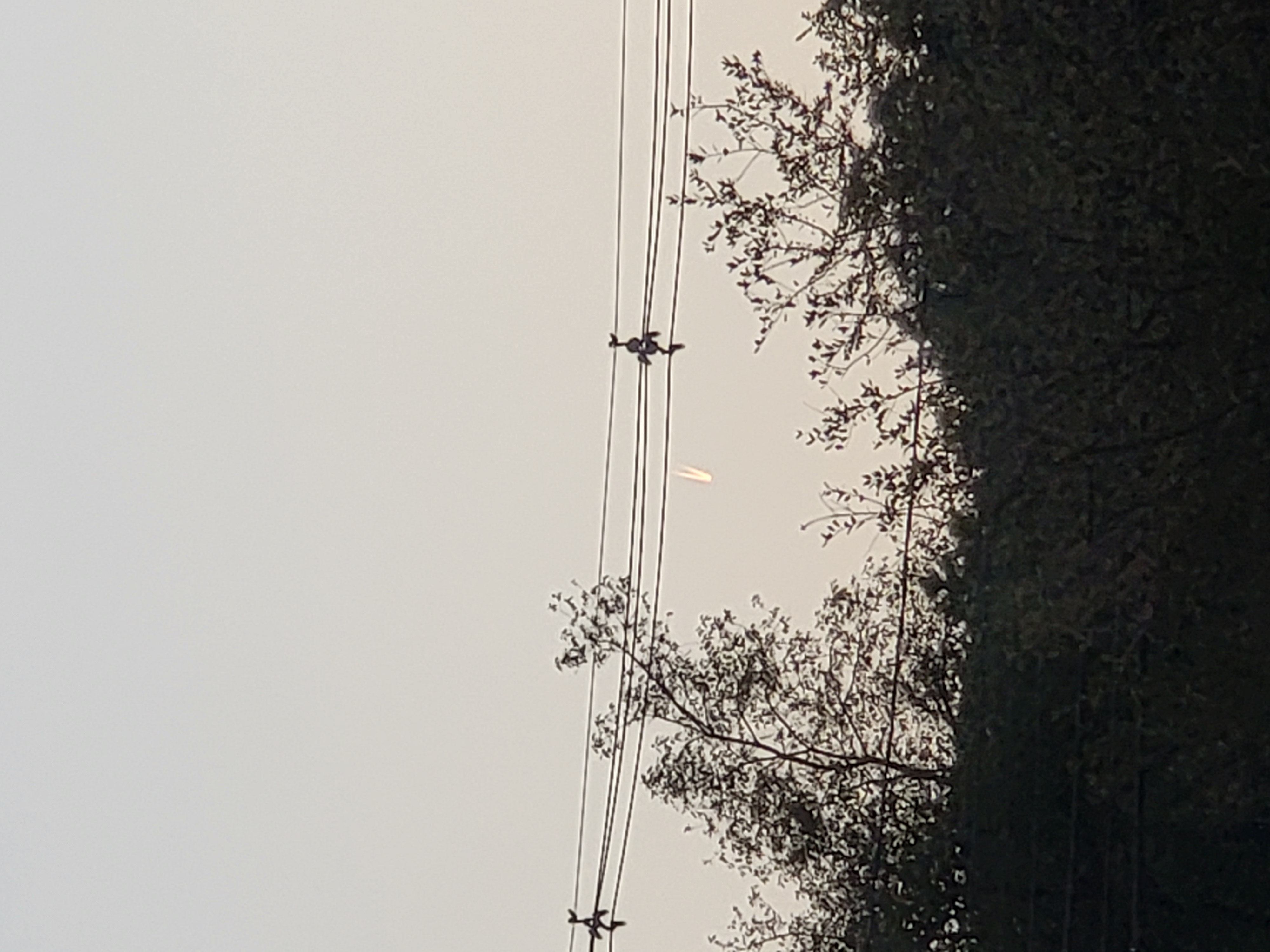 Image from report NUFORC_183068