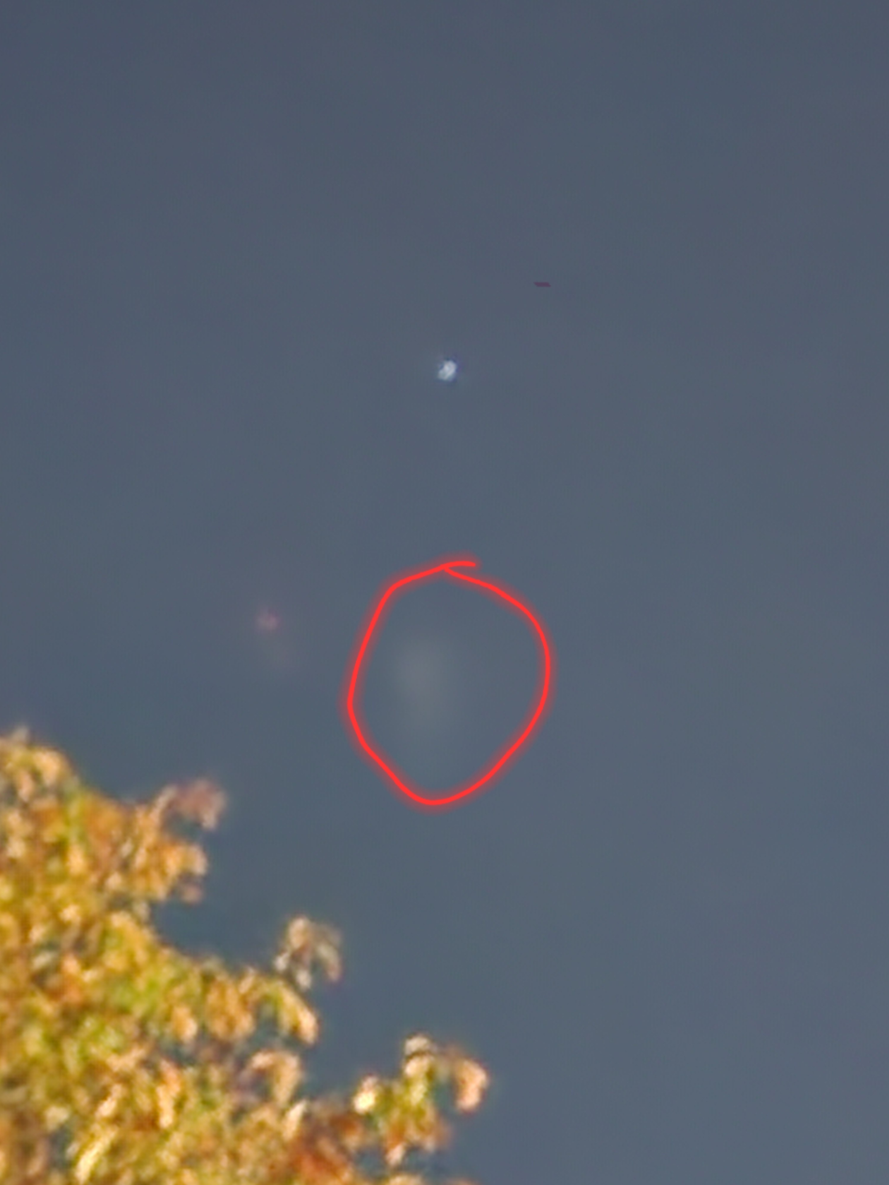 Image from report NUFORC_183181