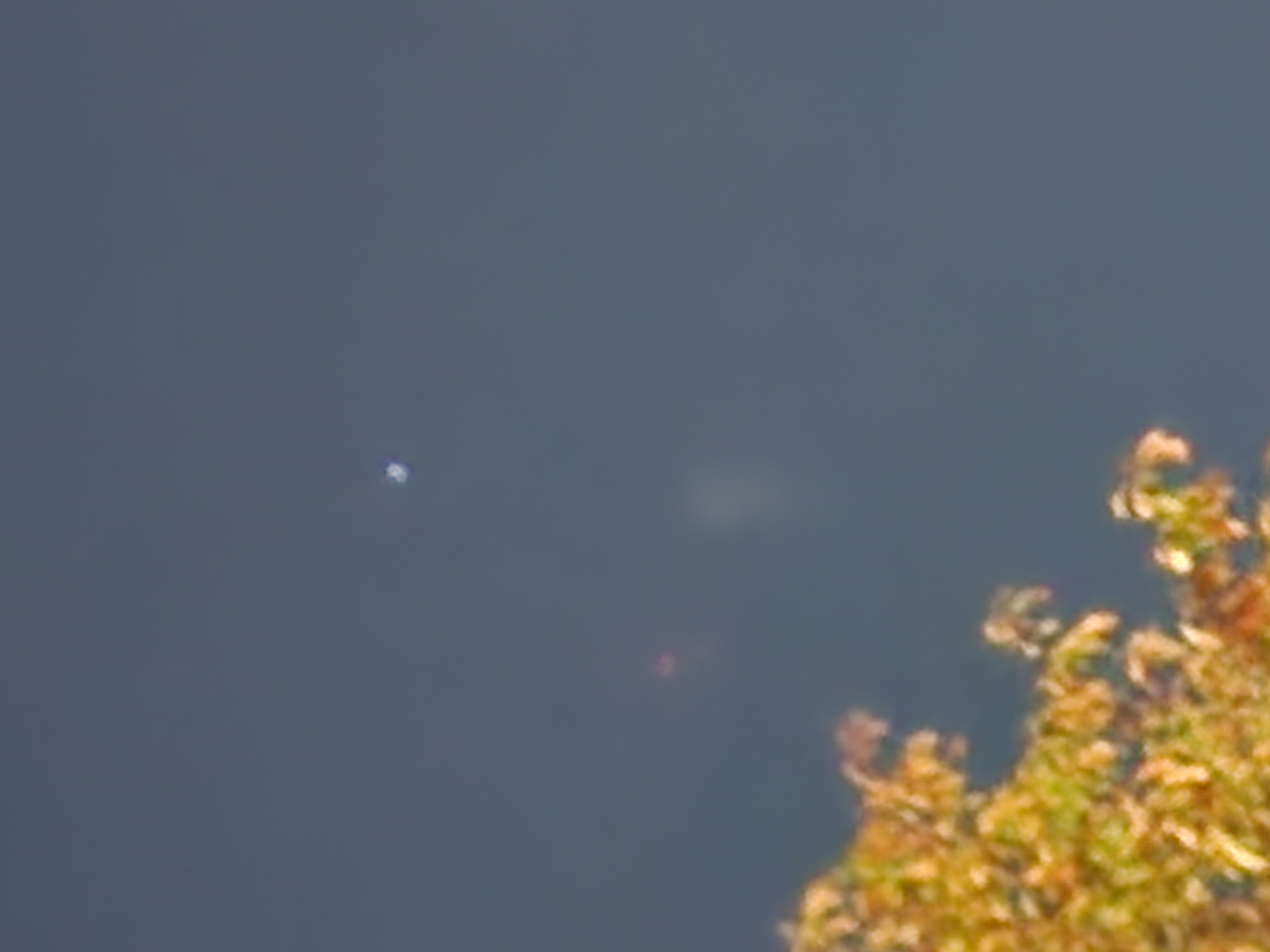 Image from report NUFORC_183181