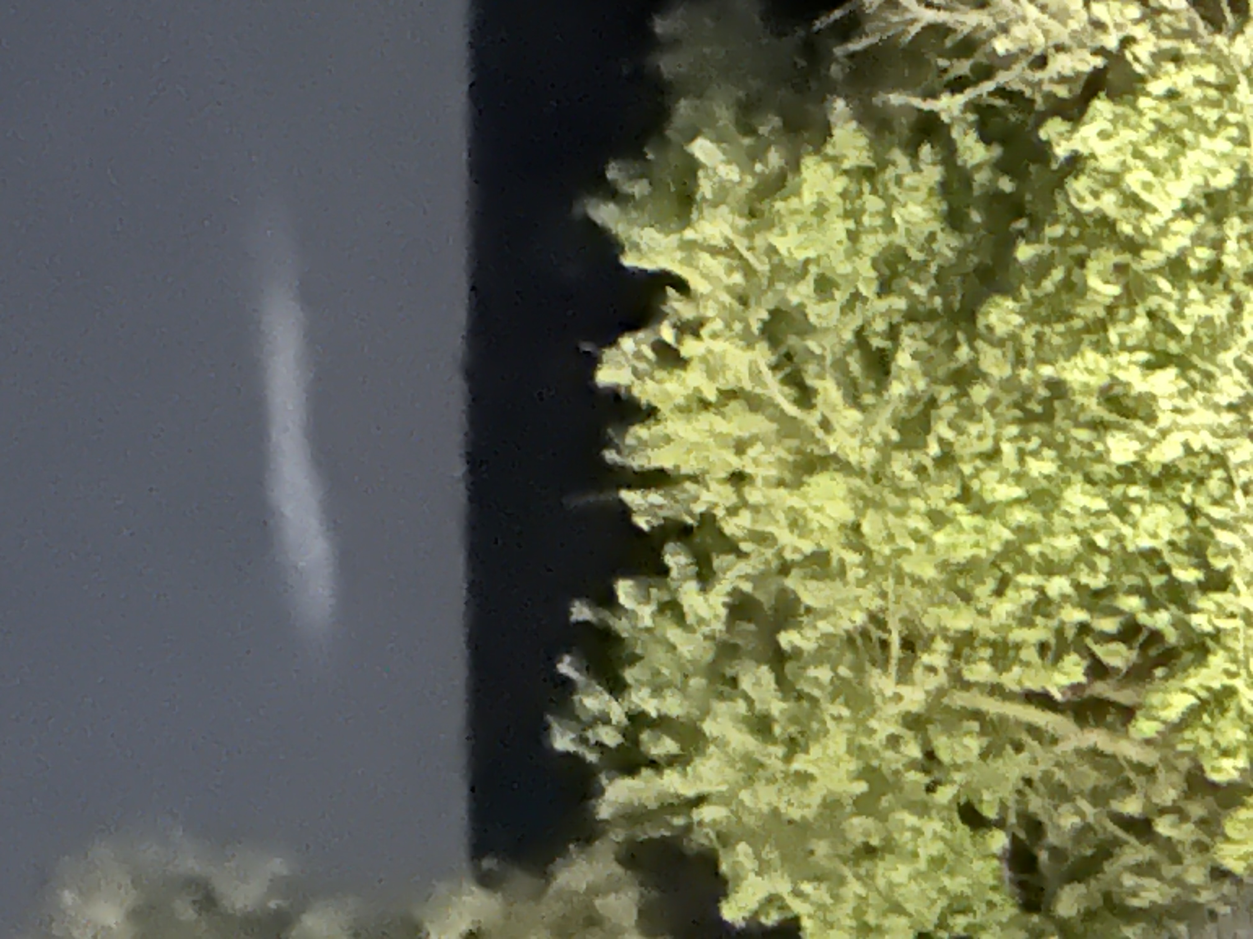 Image from report NUFORC_183336