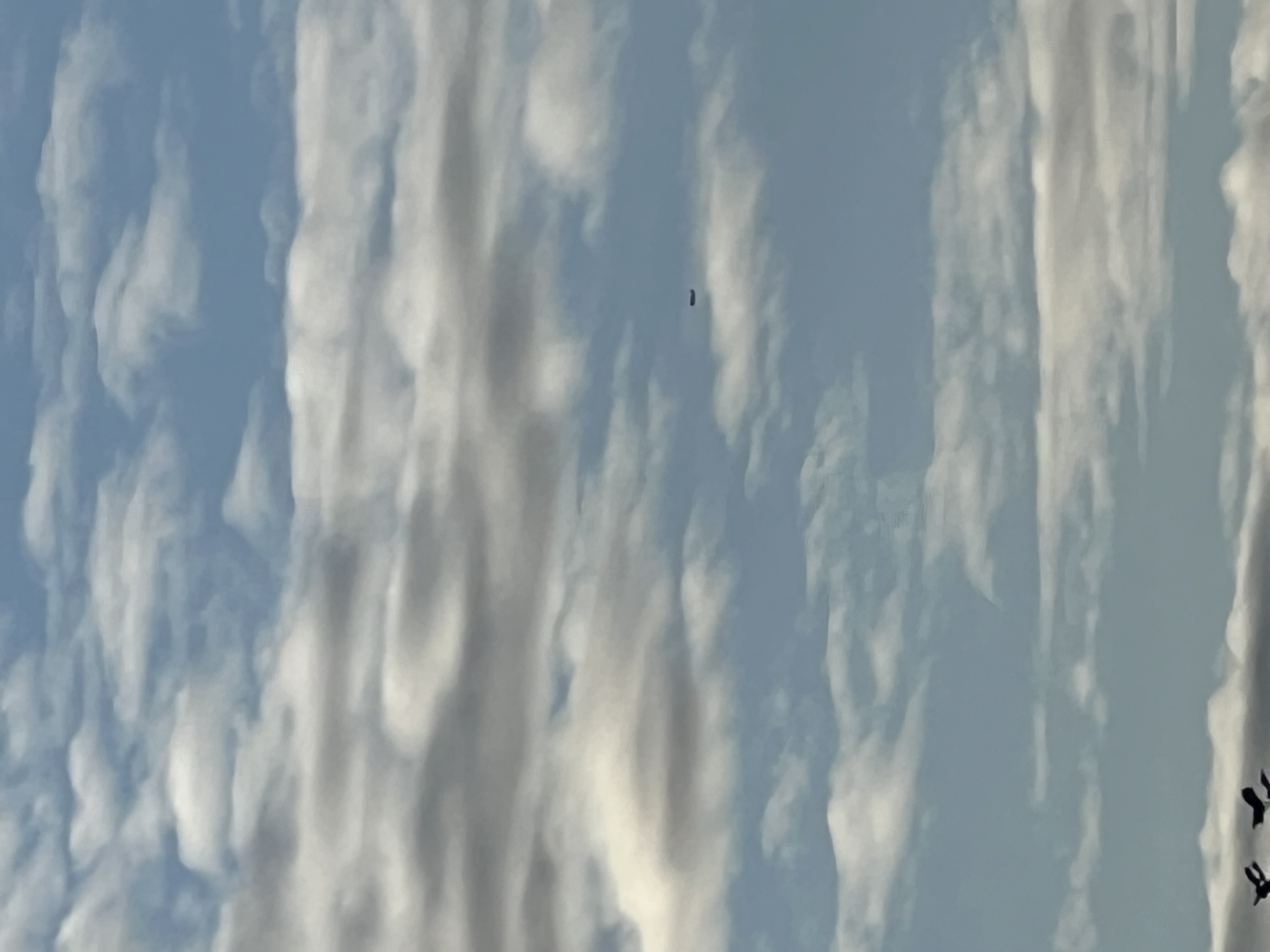 Image from report NUFORC_183481