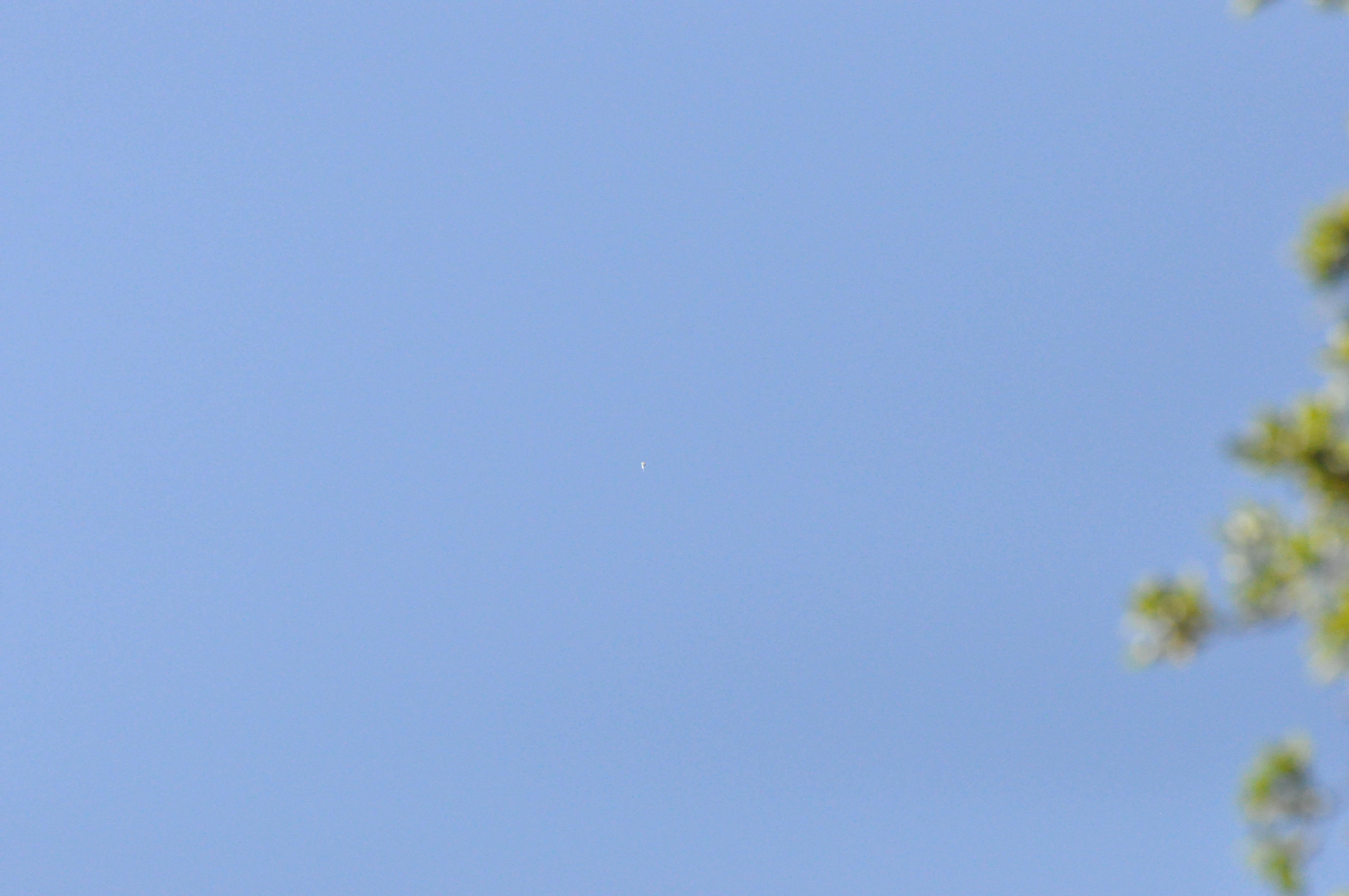 Image from report NUFORC_183575