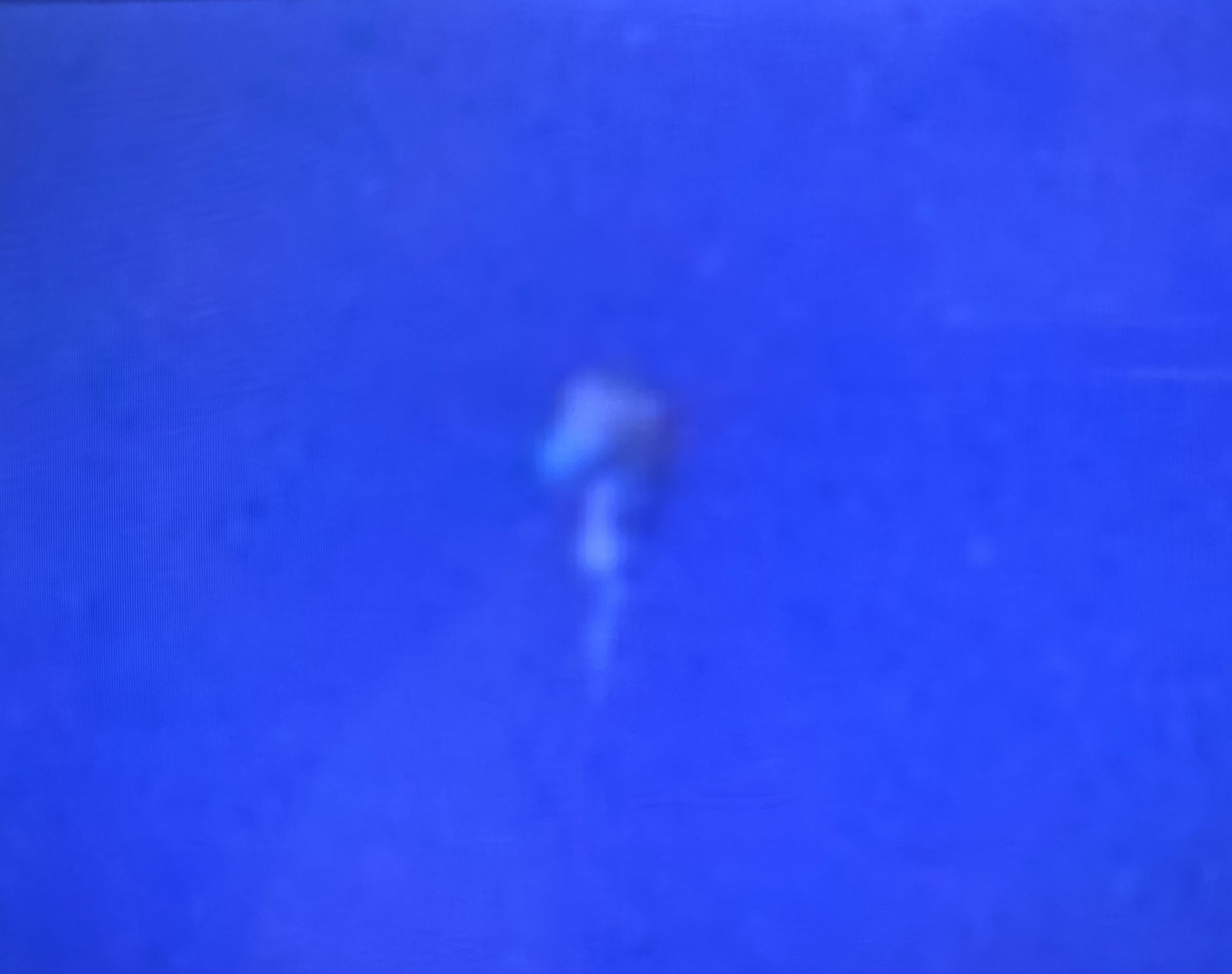 Image from report NUFORC_183575