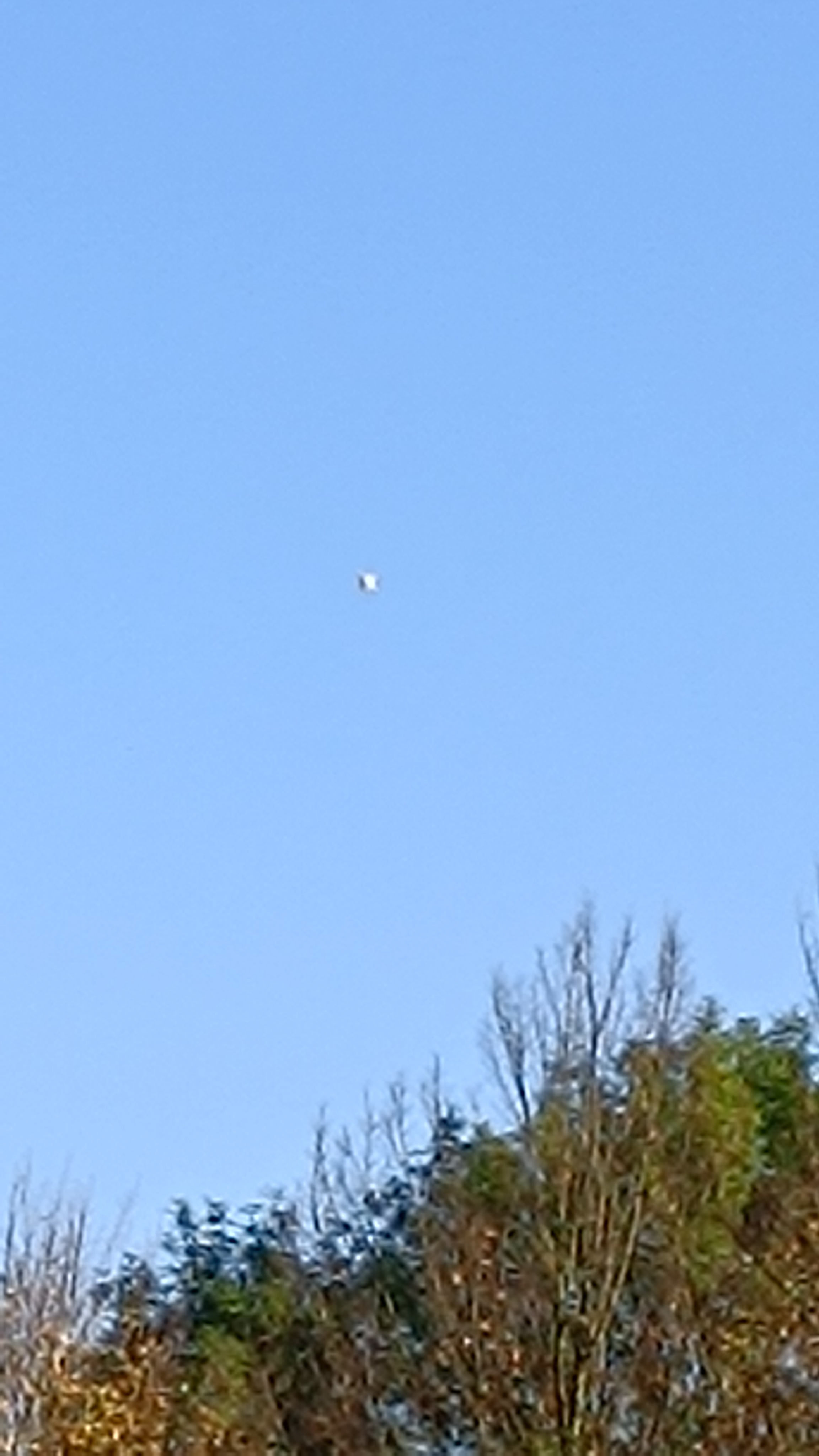 Image from report NUFORC_183595