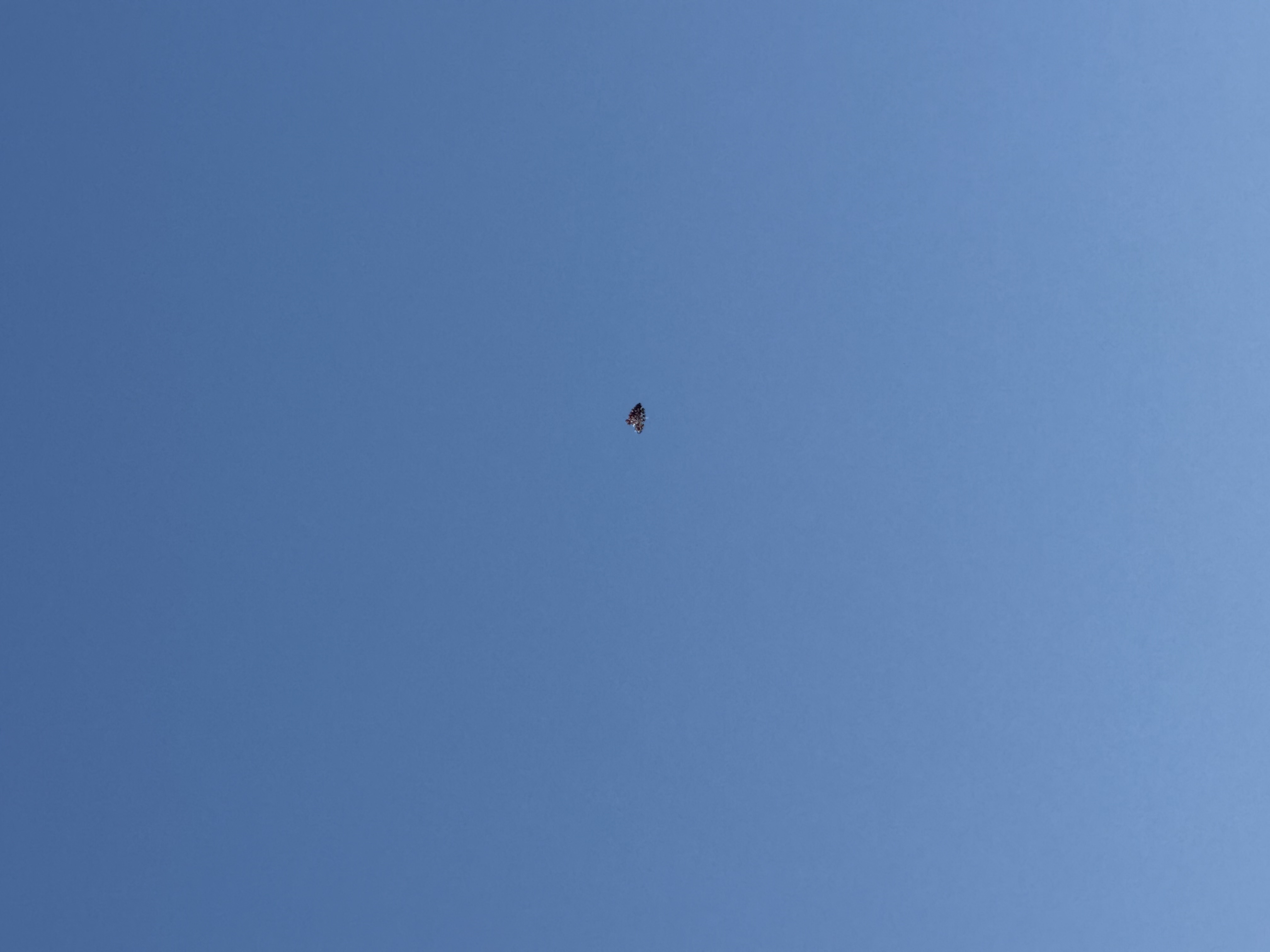 Image from report NUFORC_183602