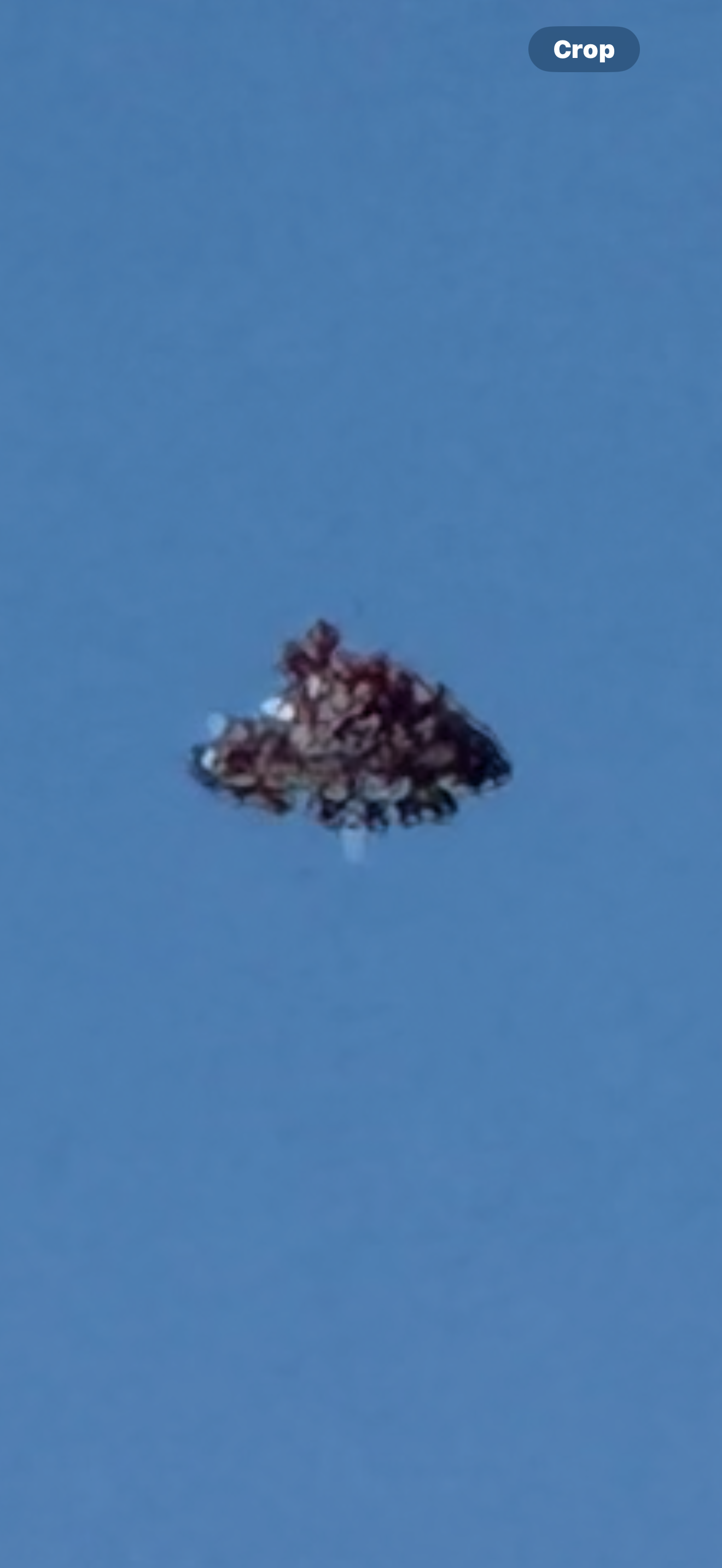 Image from report NUFORC_183602