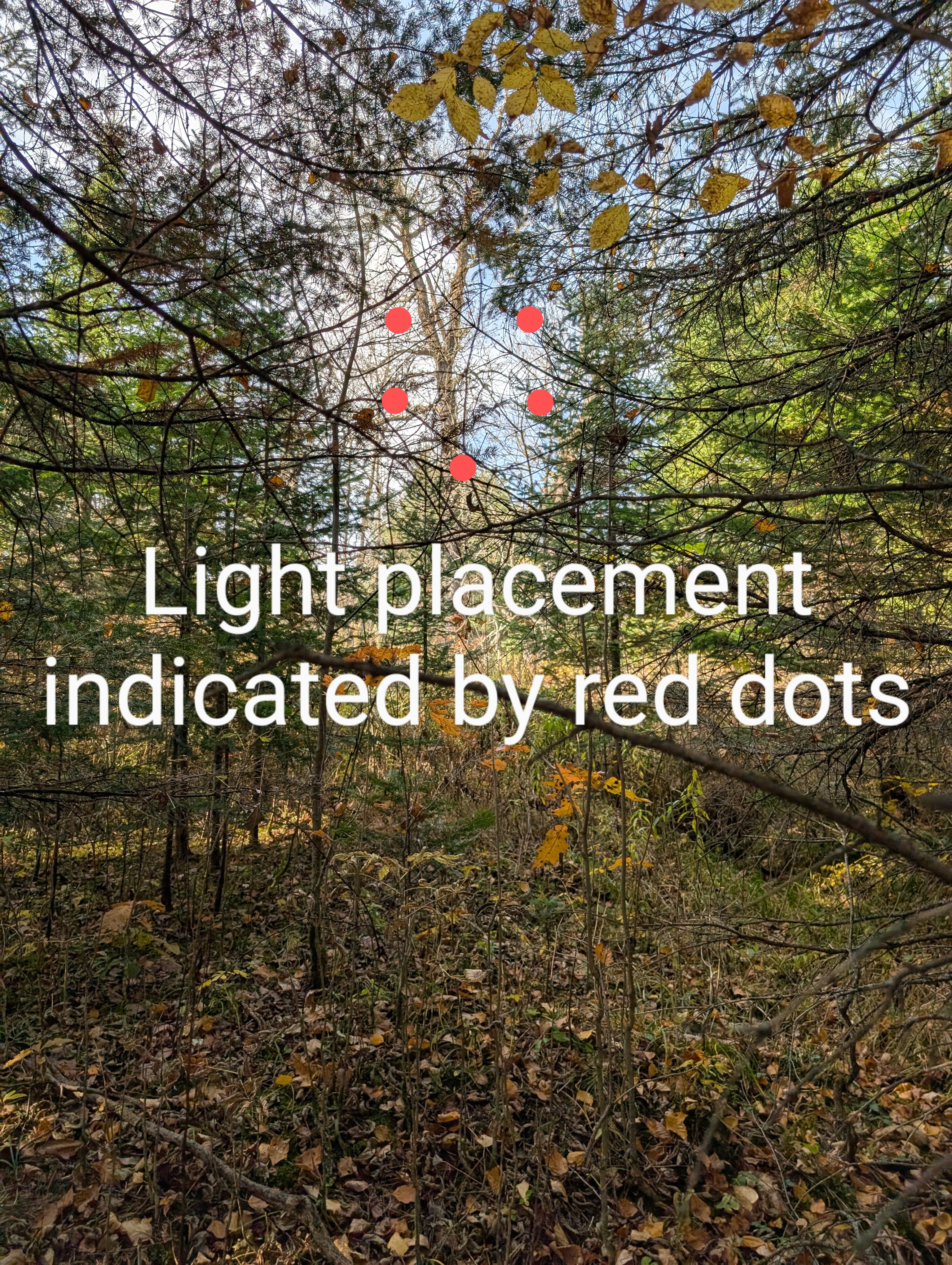 Image from report NUFORC_183634