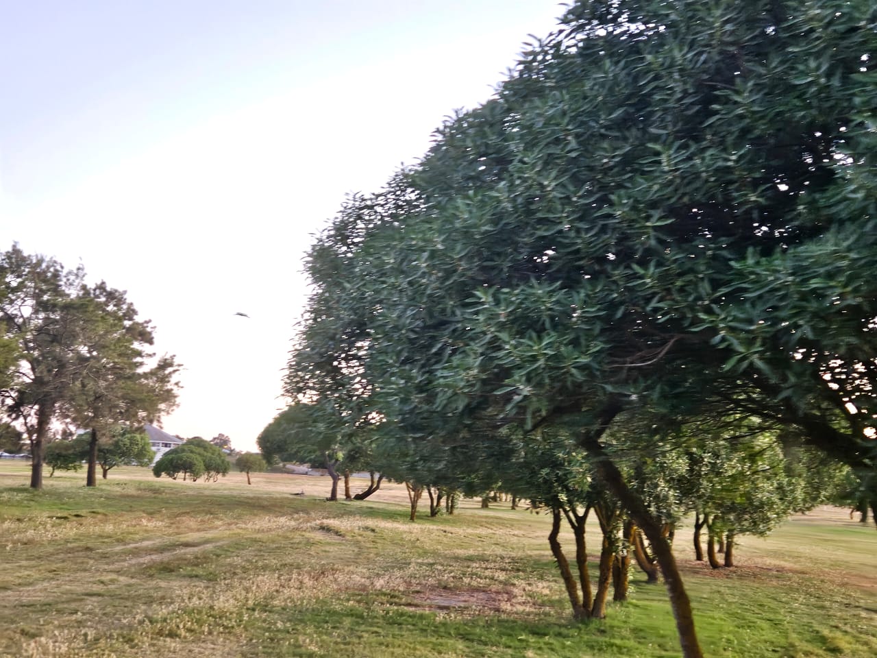 Image from report NUFORC_183831