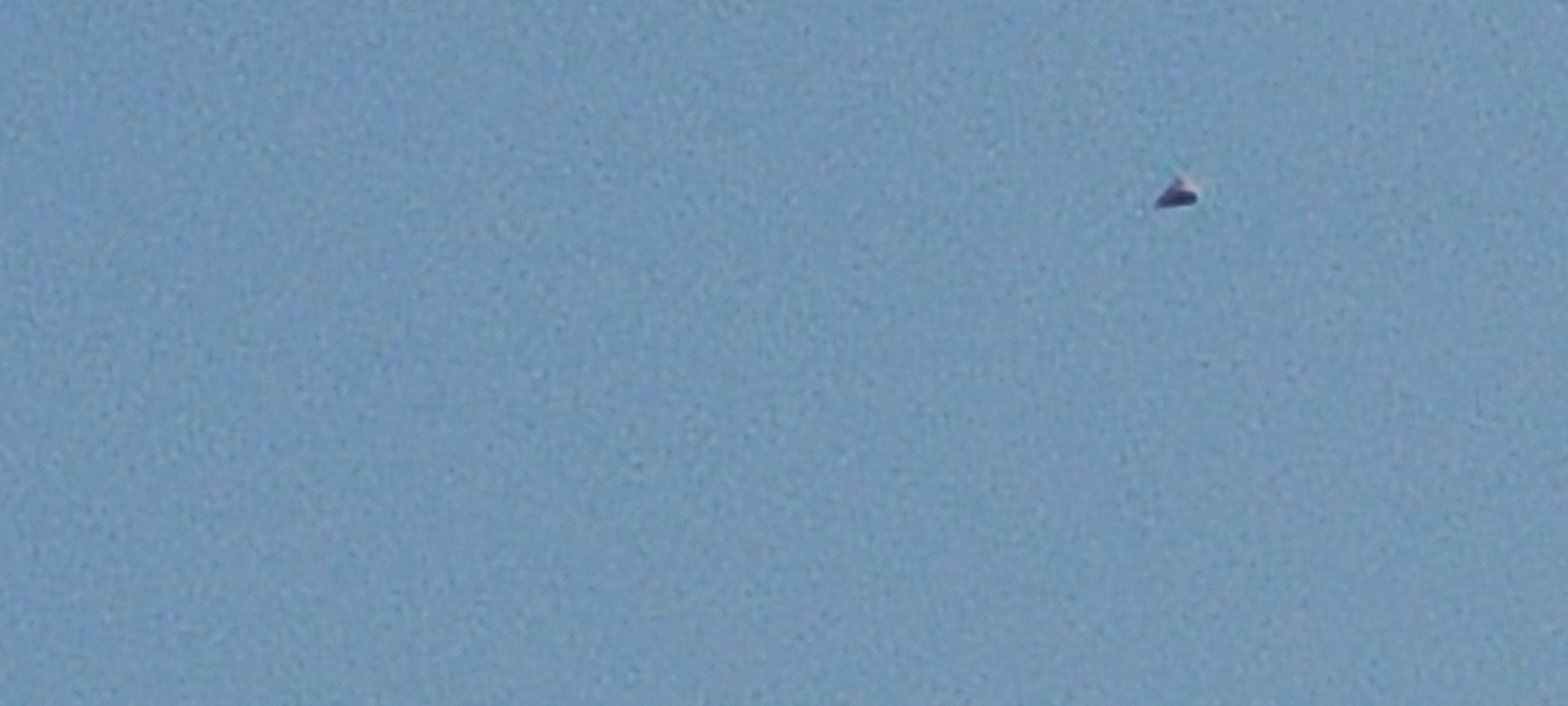Image from report NUFORC_183969