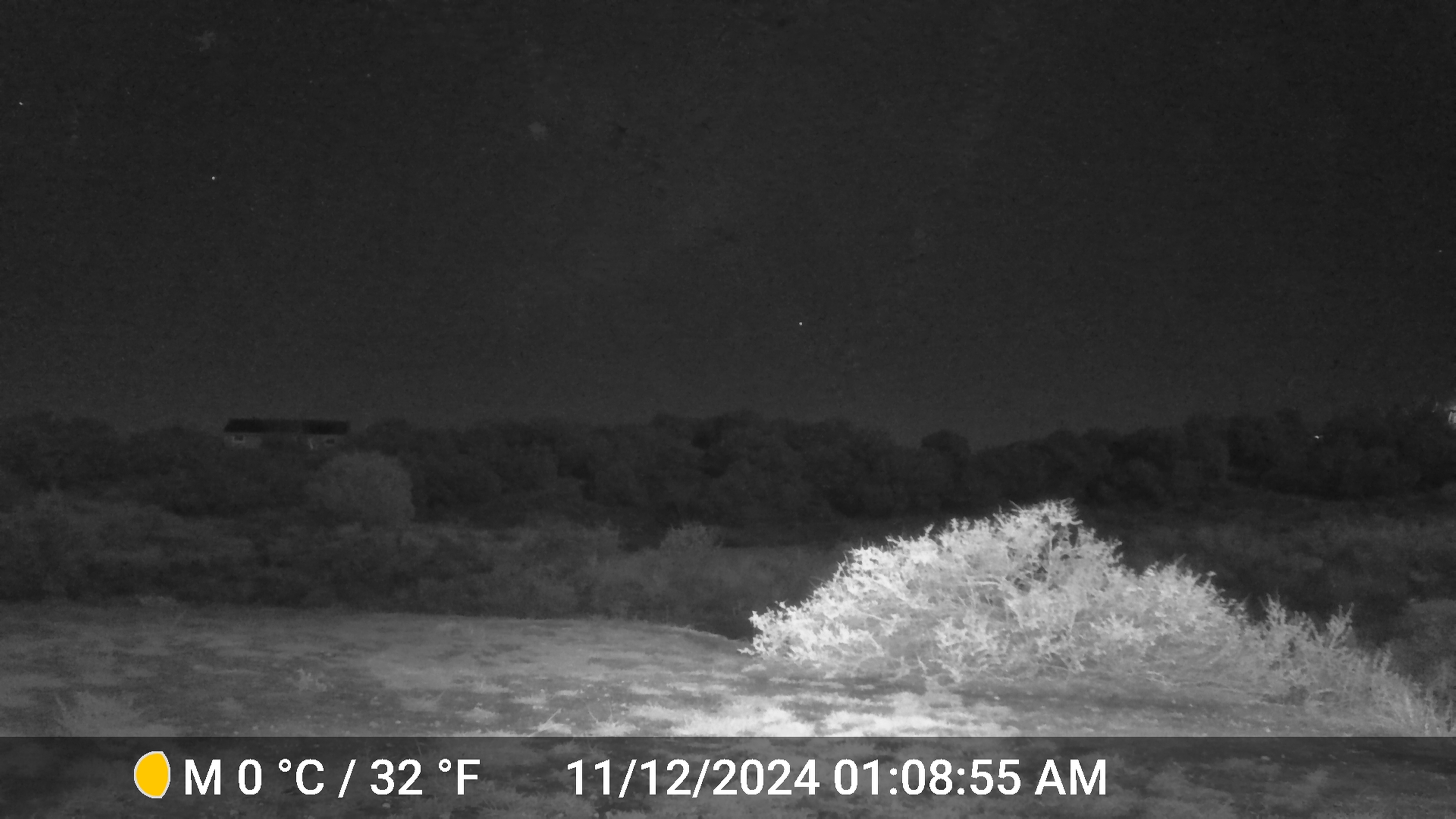 Image from report NUFORC_184089