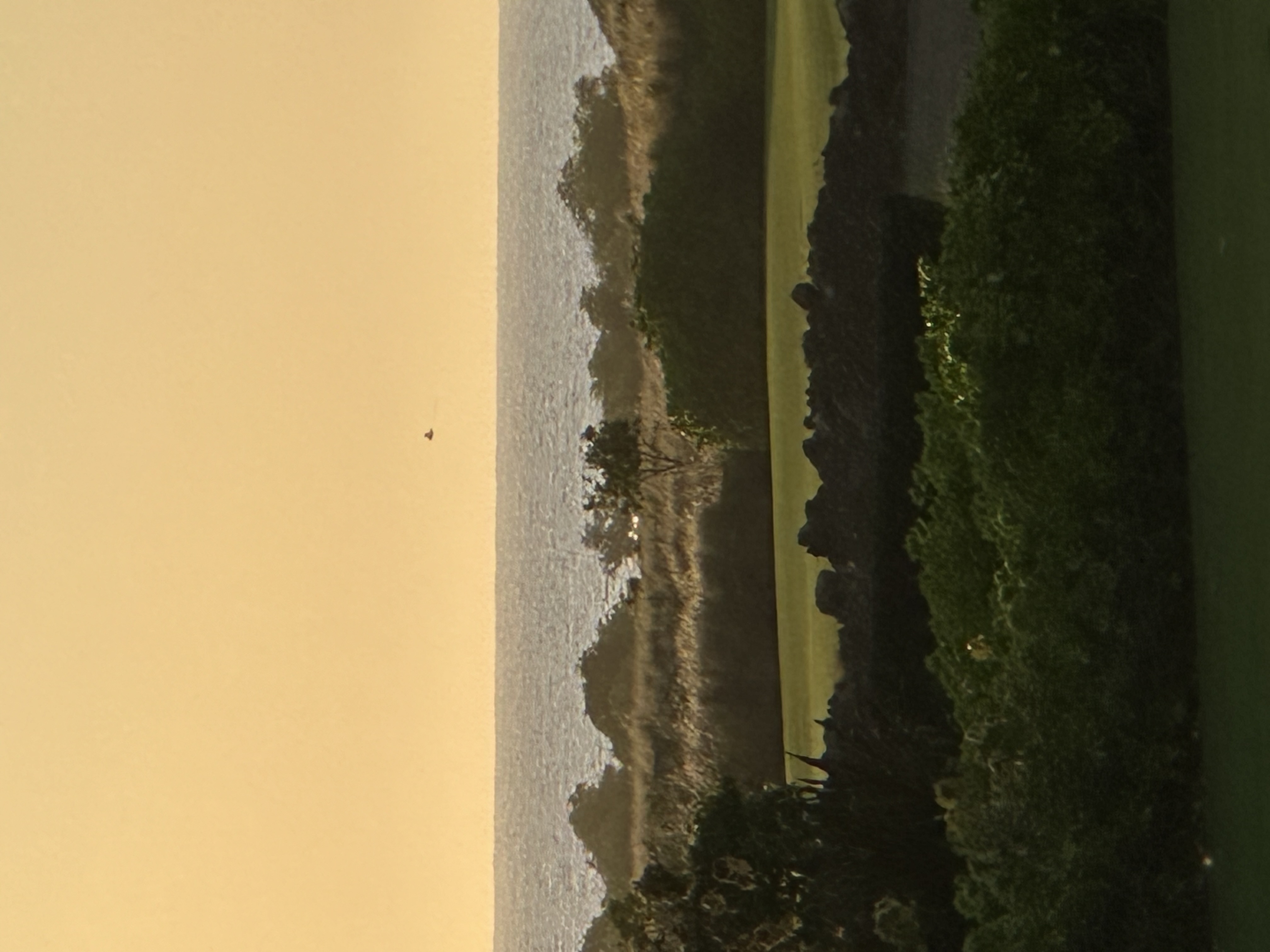 Image from report NUFORC_184235