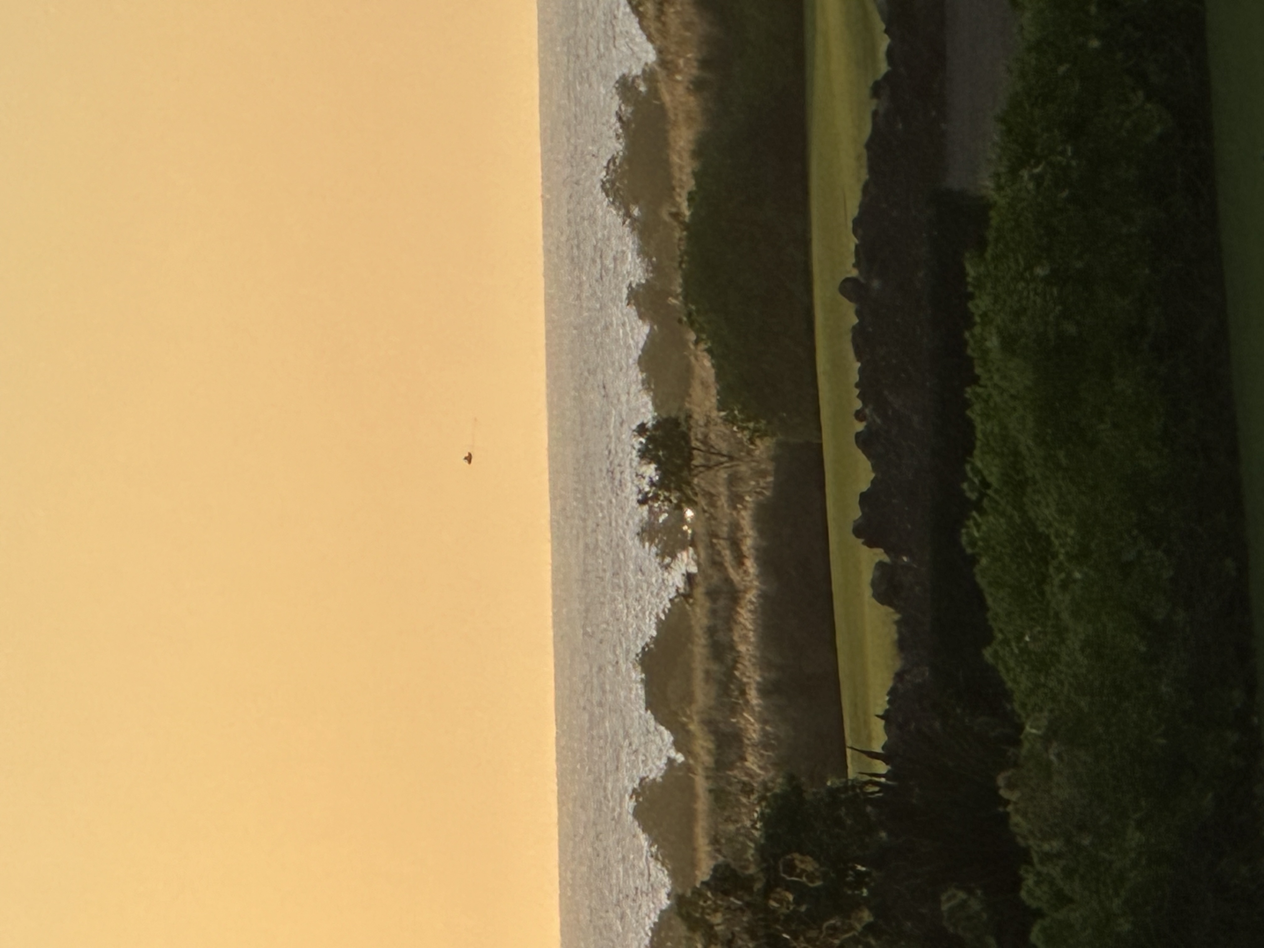 Image from report NUFORC_184235