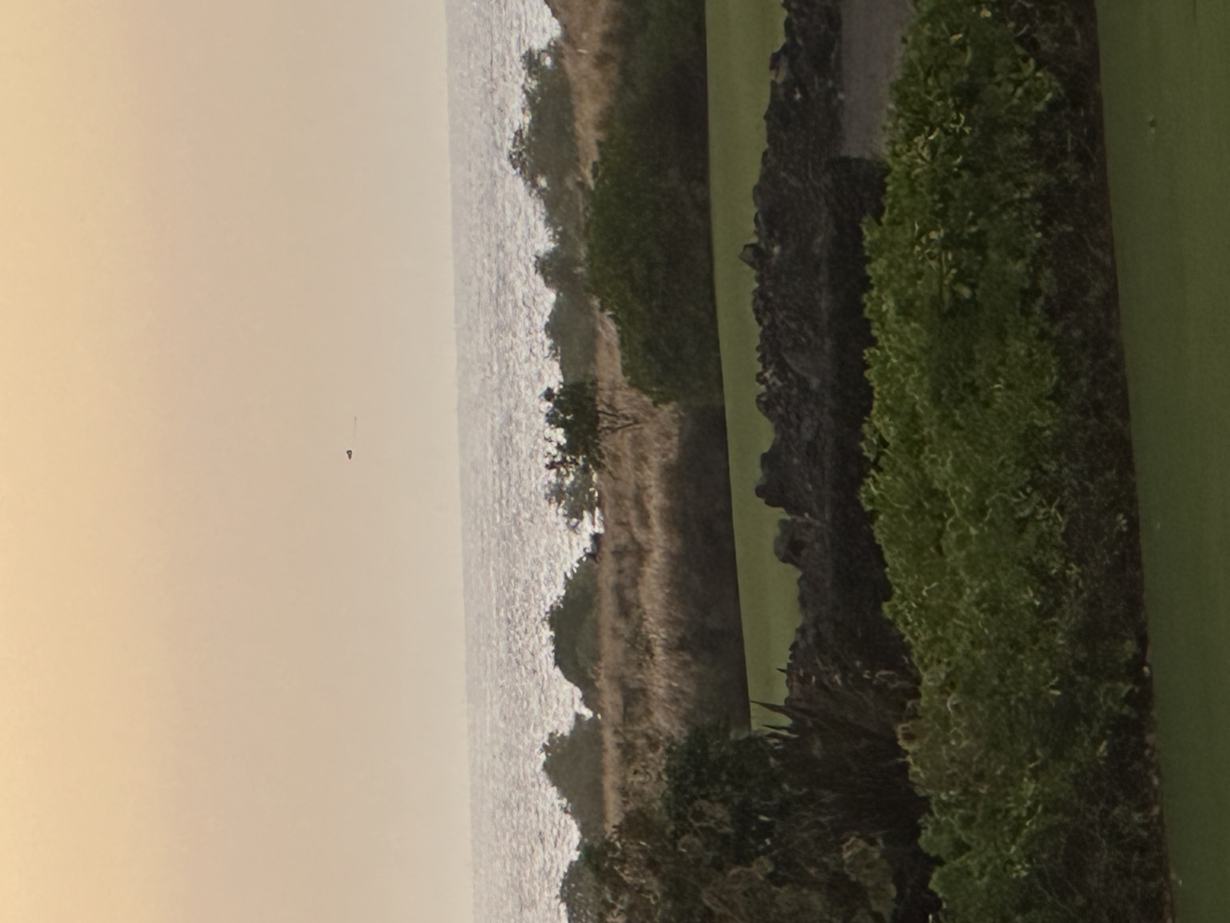 Image from report NUFORC_184235