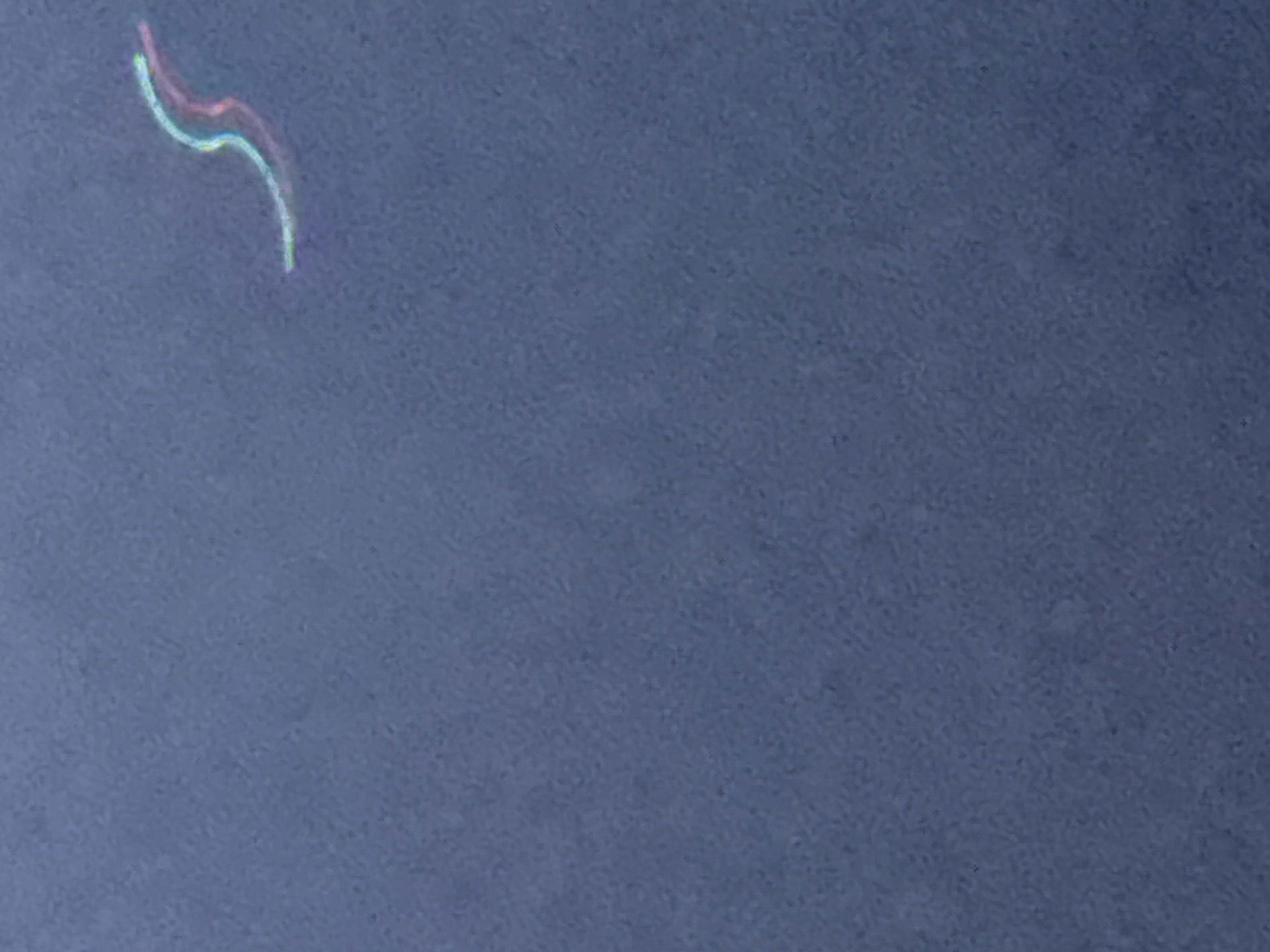 Image from report NUFORC_184253