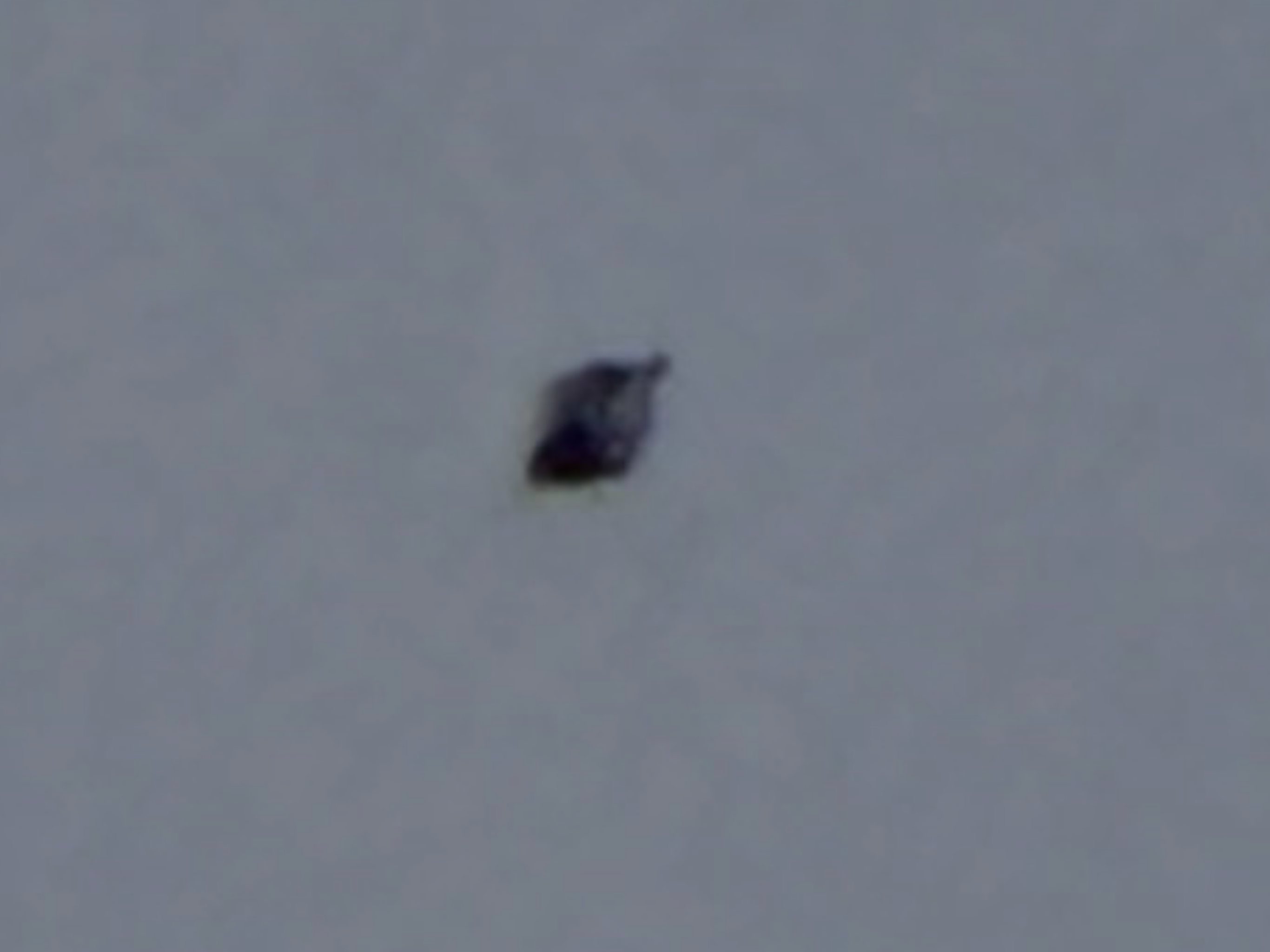 Image from report NUFORC_184257