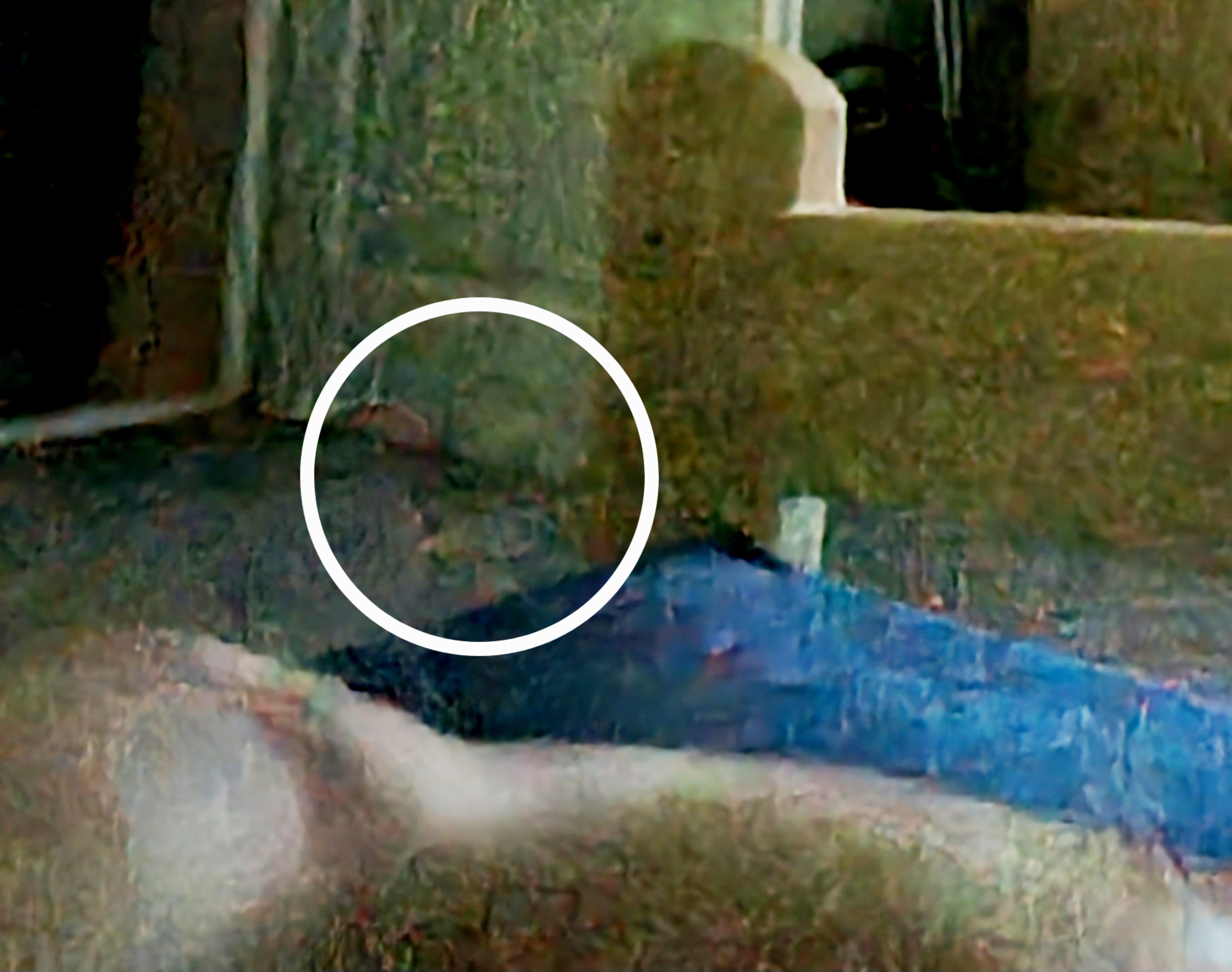 Image from report NUFORC_185344