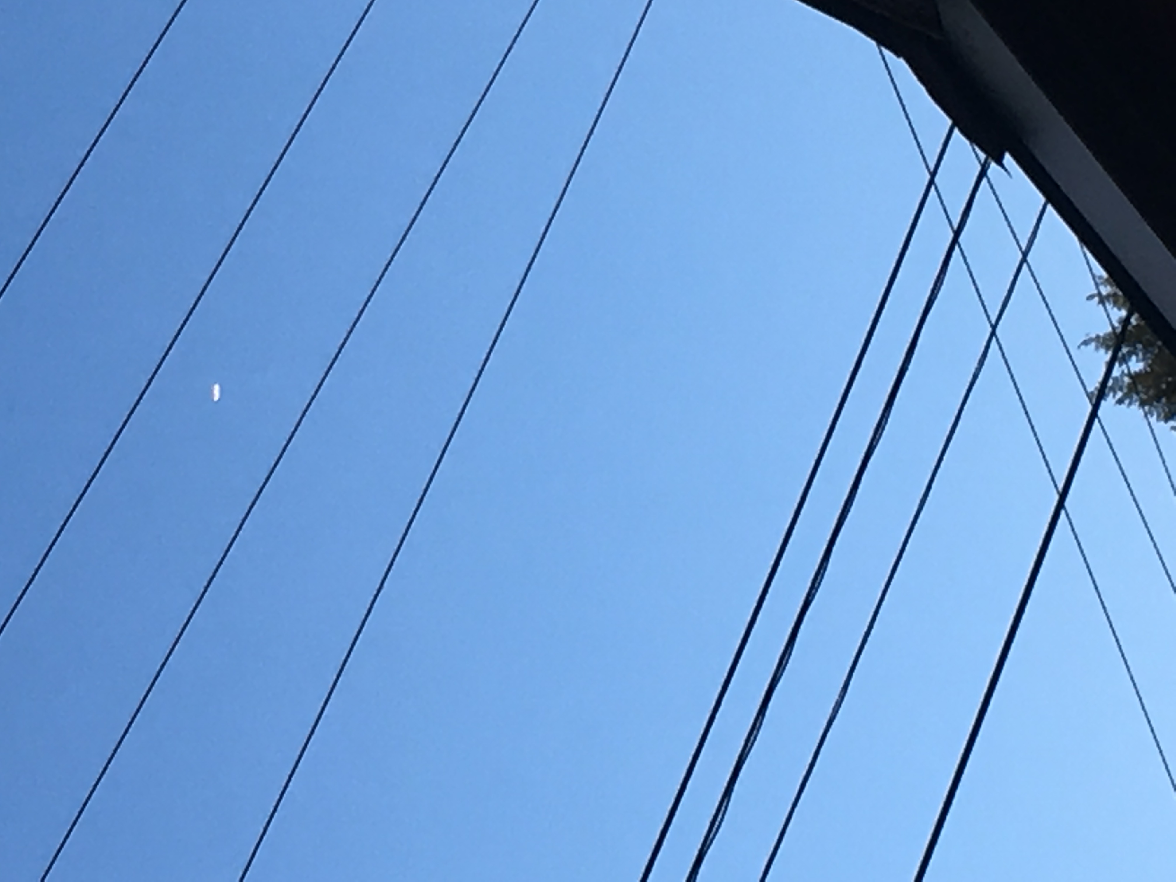 Image from report NUFORC_185521