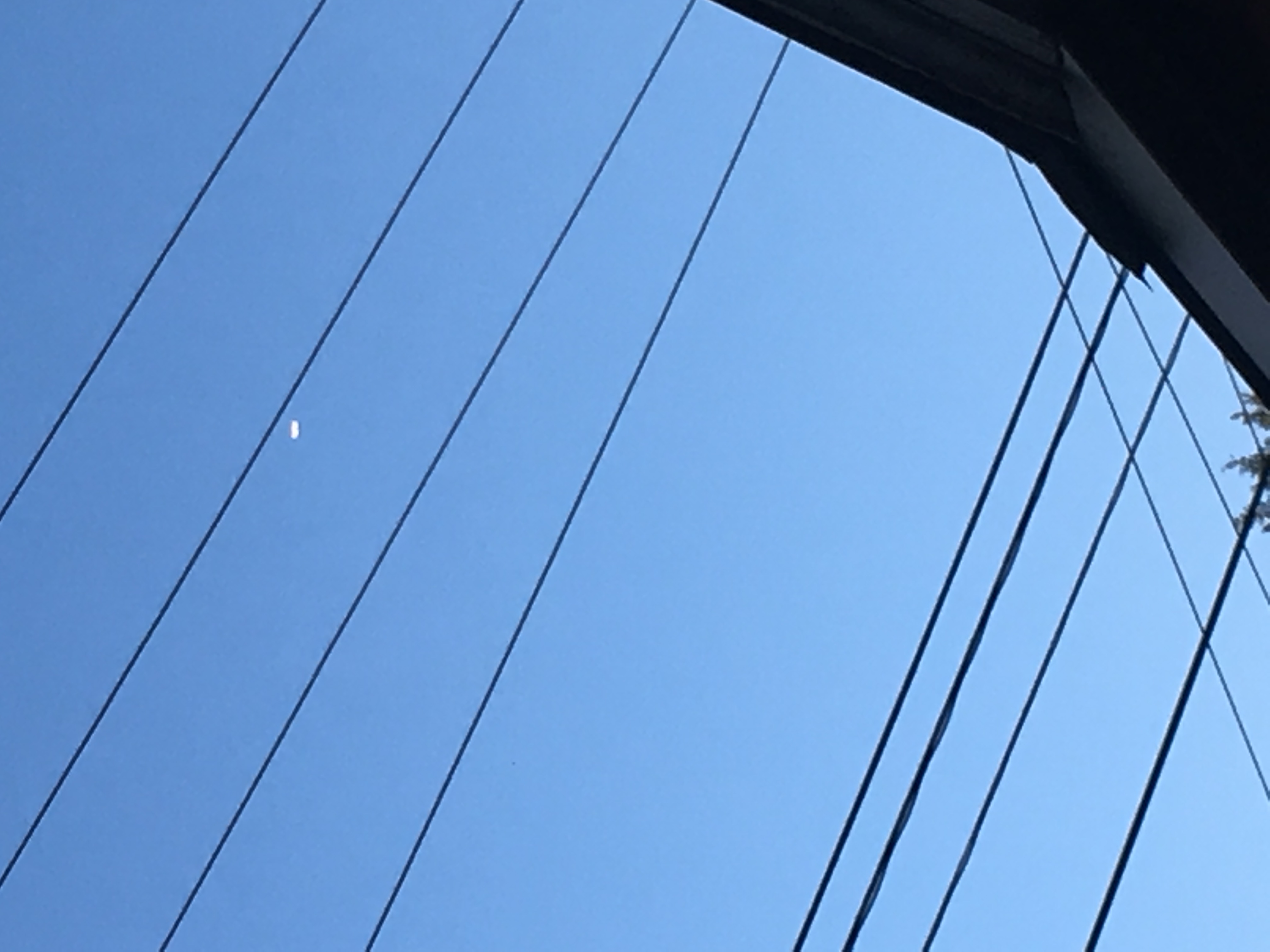 Image from report NUFORC_185521