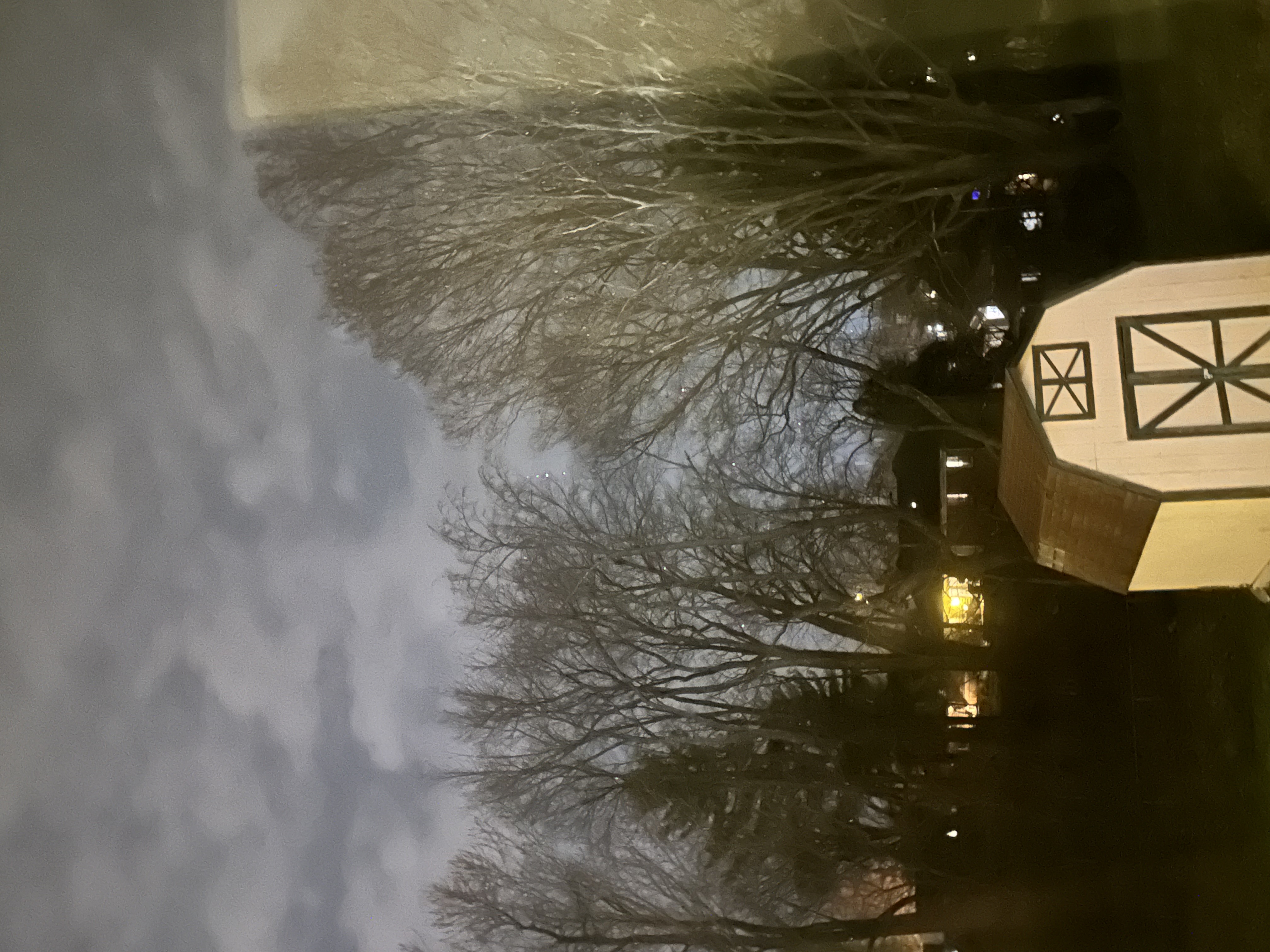 Image from report NUFORC_185651