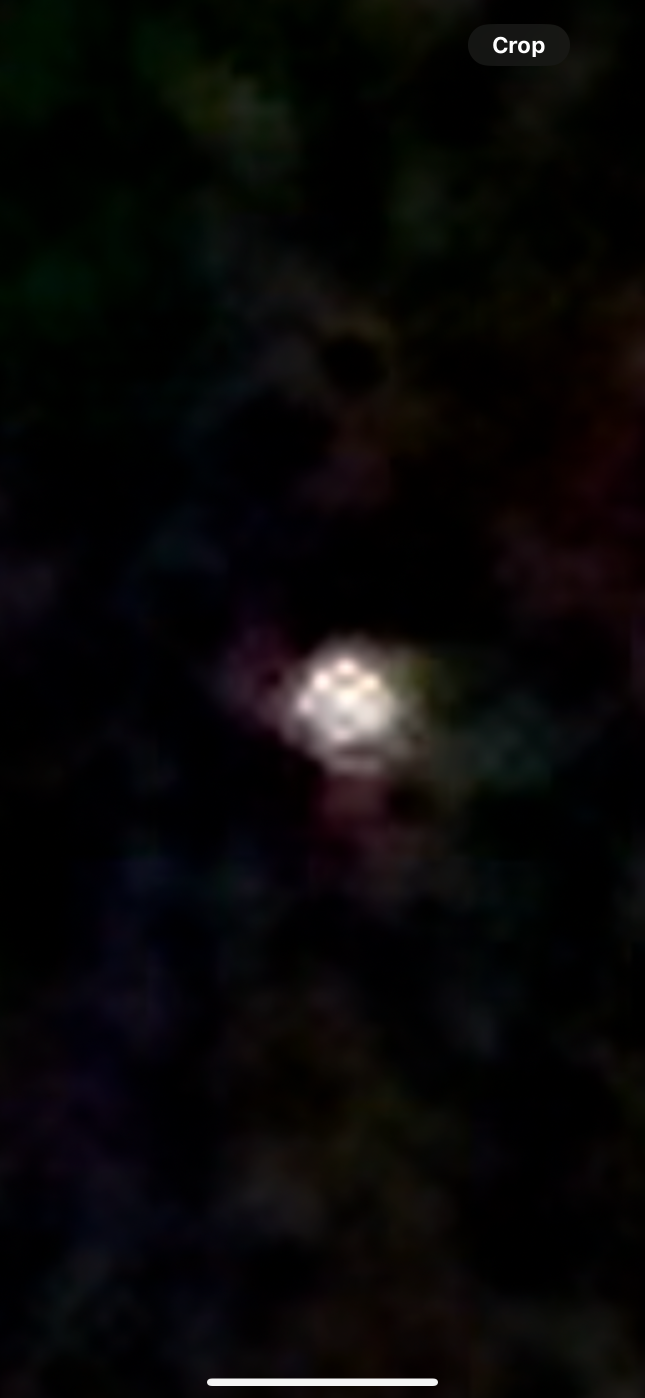 Image from report NUFORC_185753