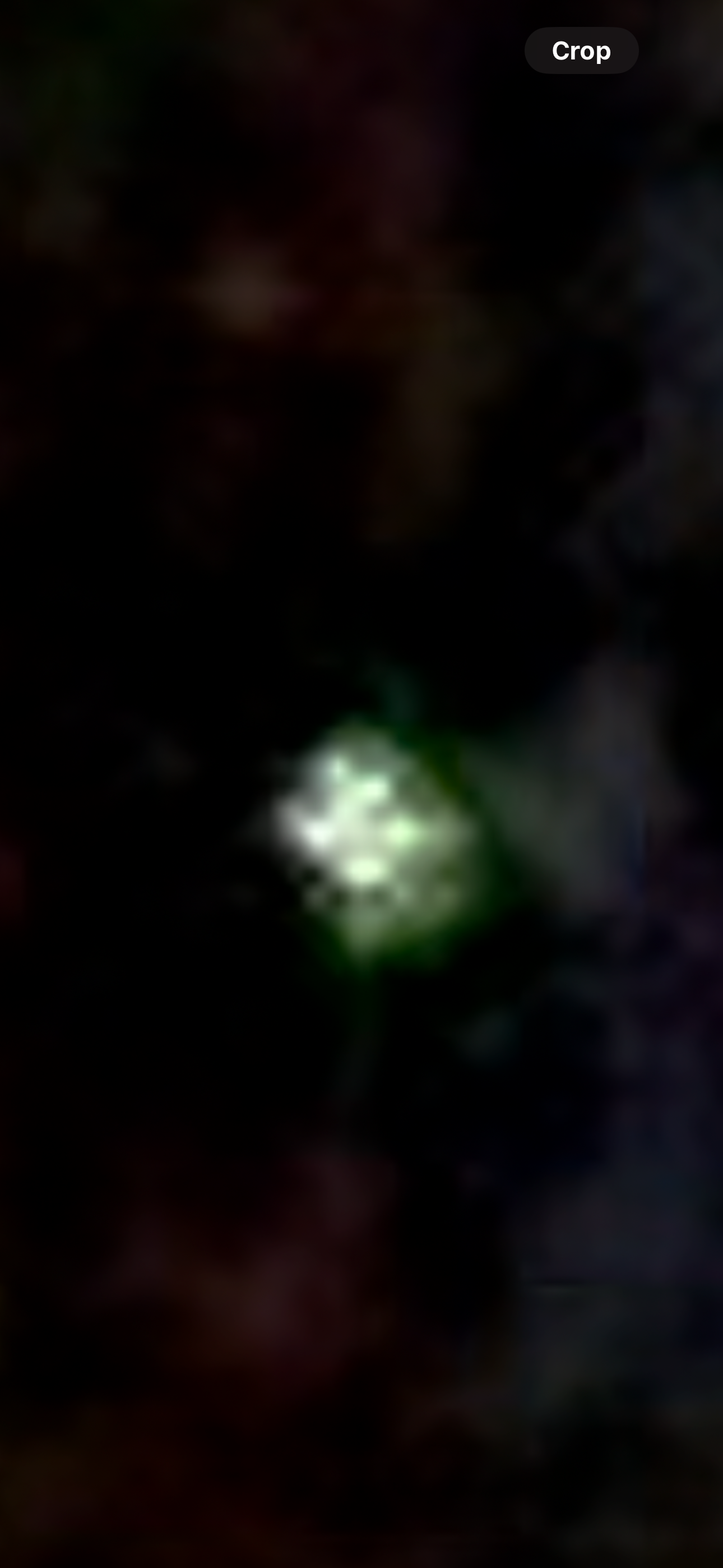 Image from report NUFORC_185753