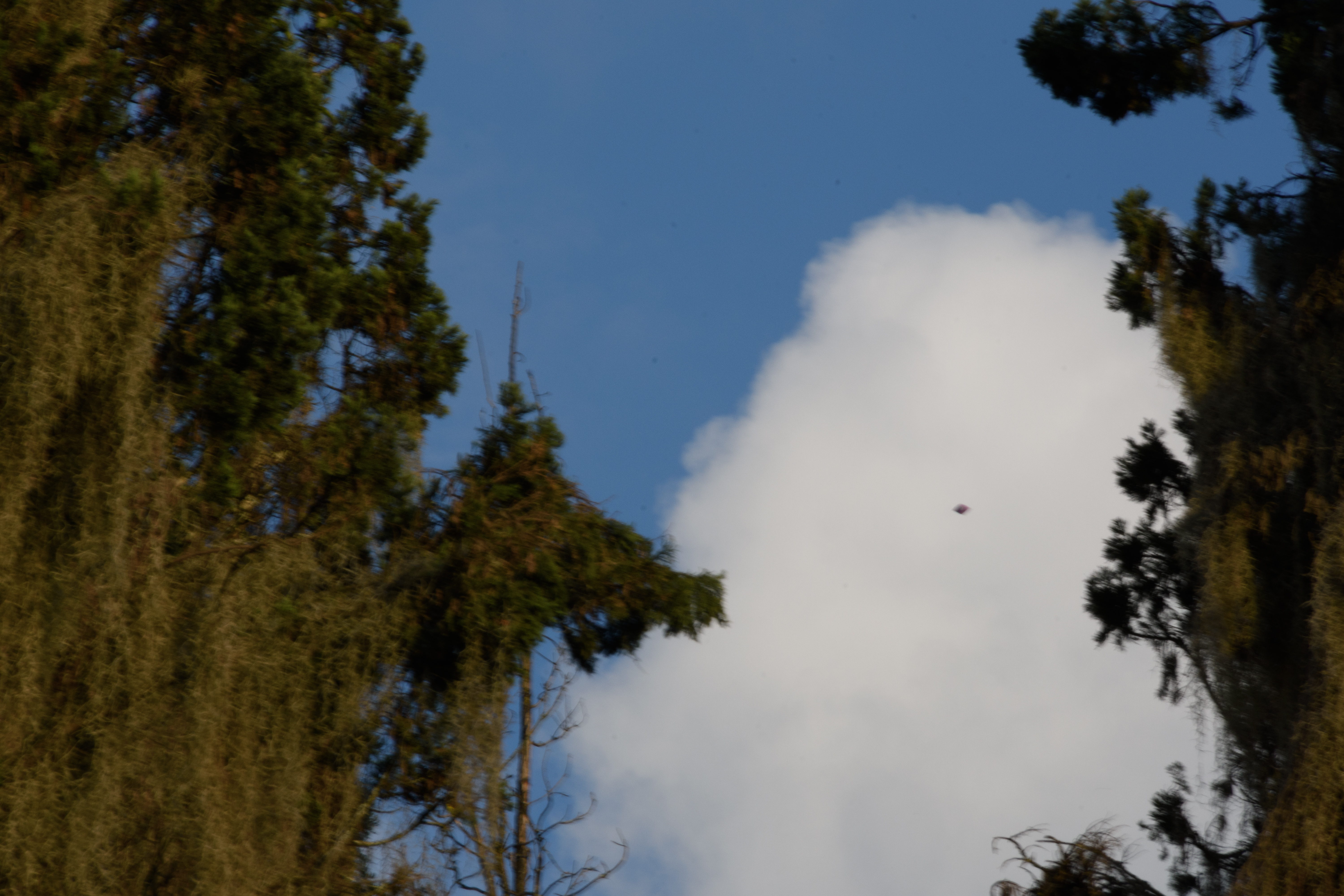 Image from report NUFORC_186500