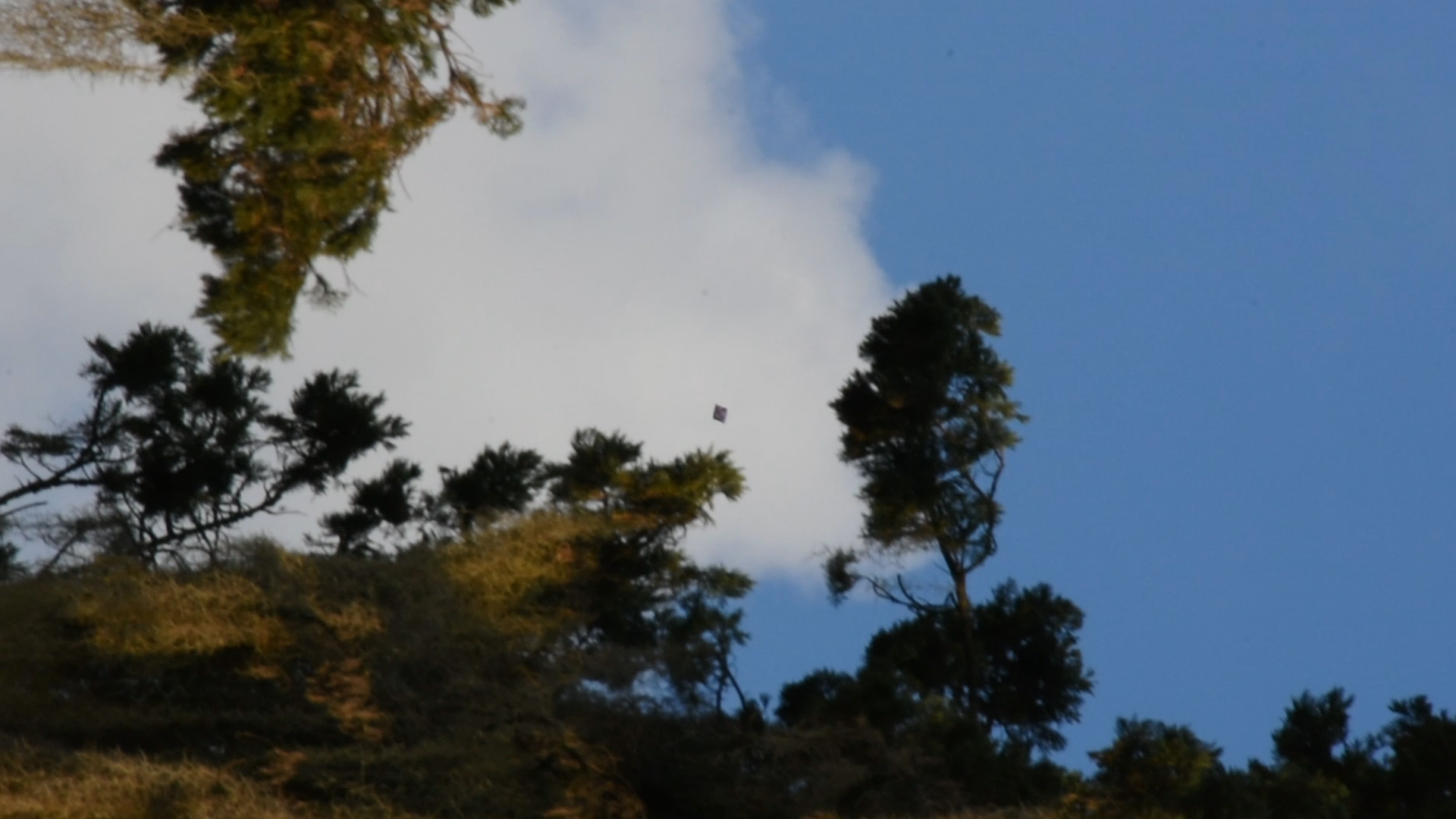 Image from report NUFORC_186500