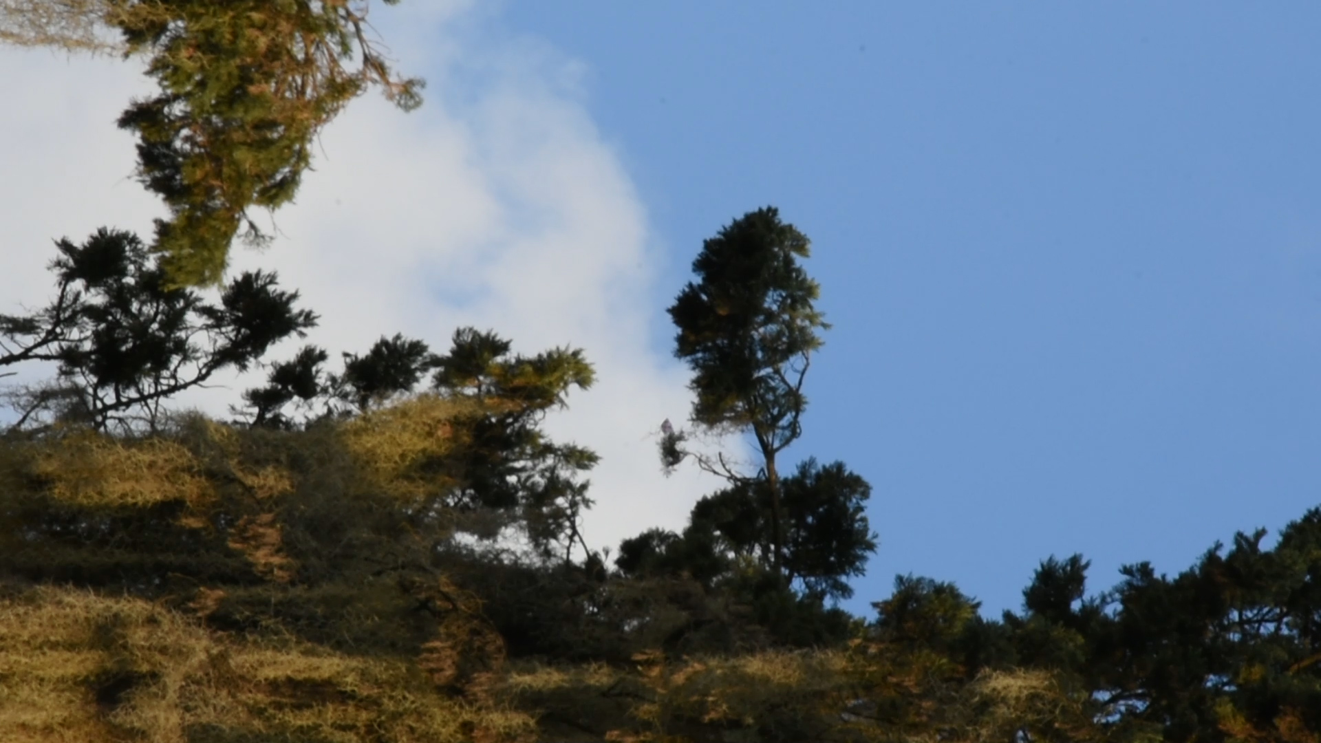 Image from report NUFORC_186500