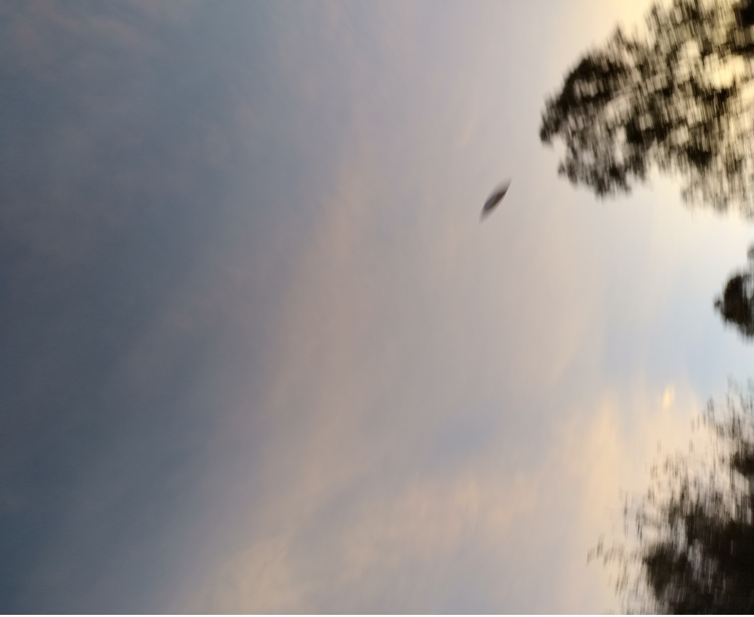Image from report NUFORC_187094