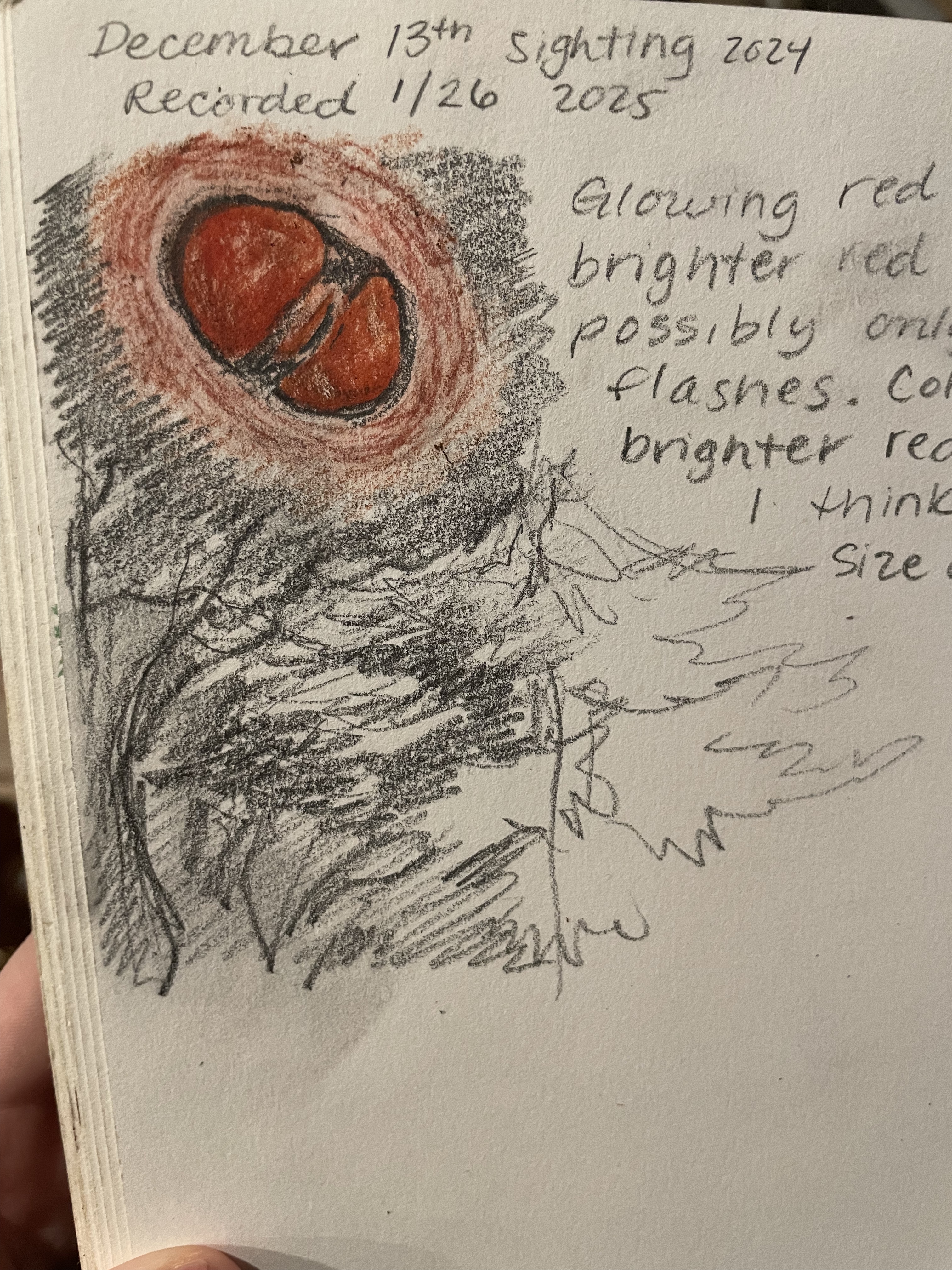 Image from report NUFORC_187261