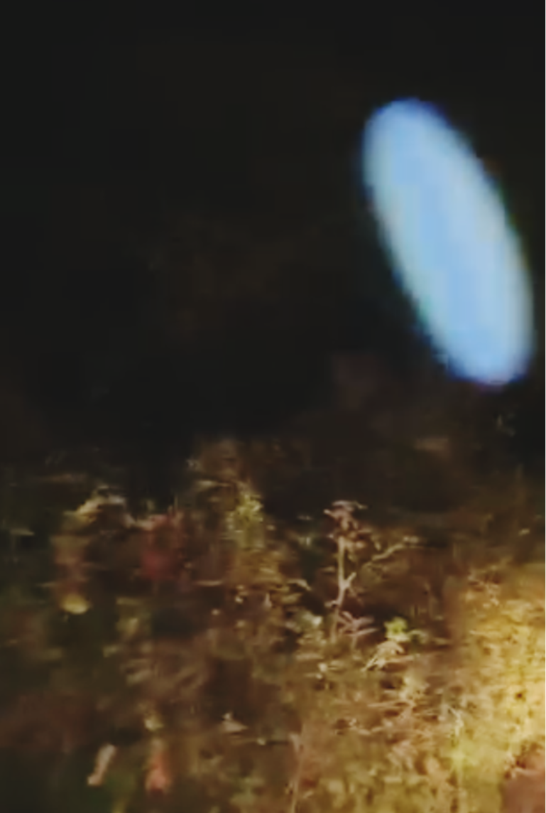 Image from report NUFORC_187591