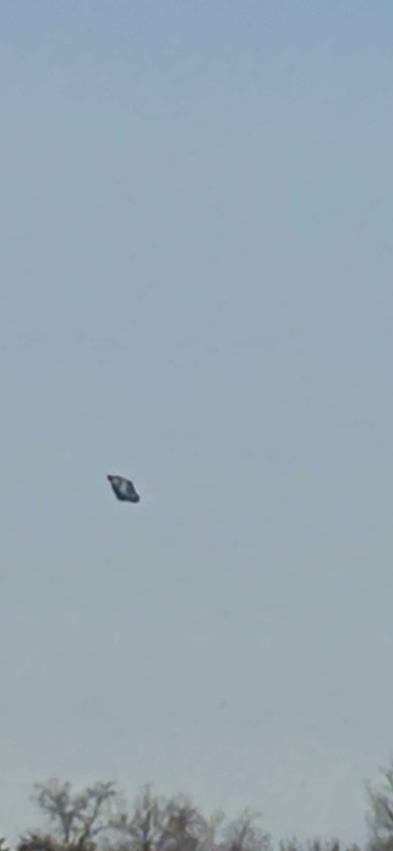 Image from report NUFORC_187723