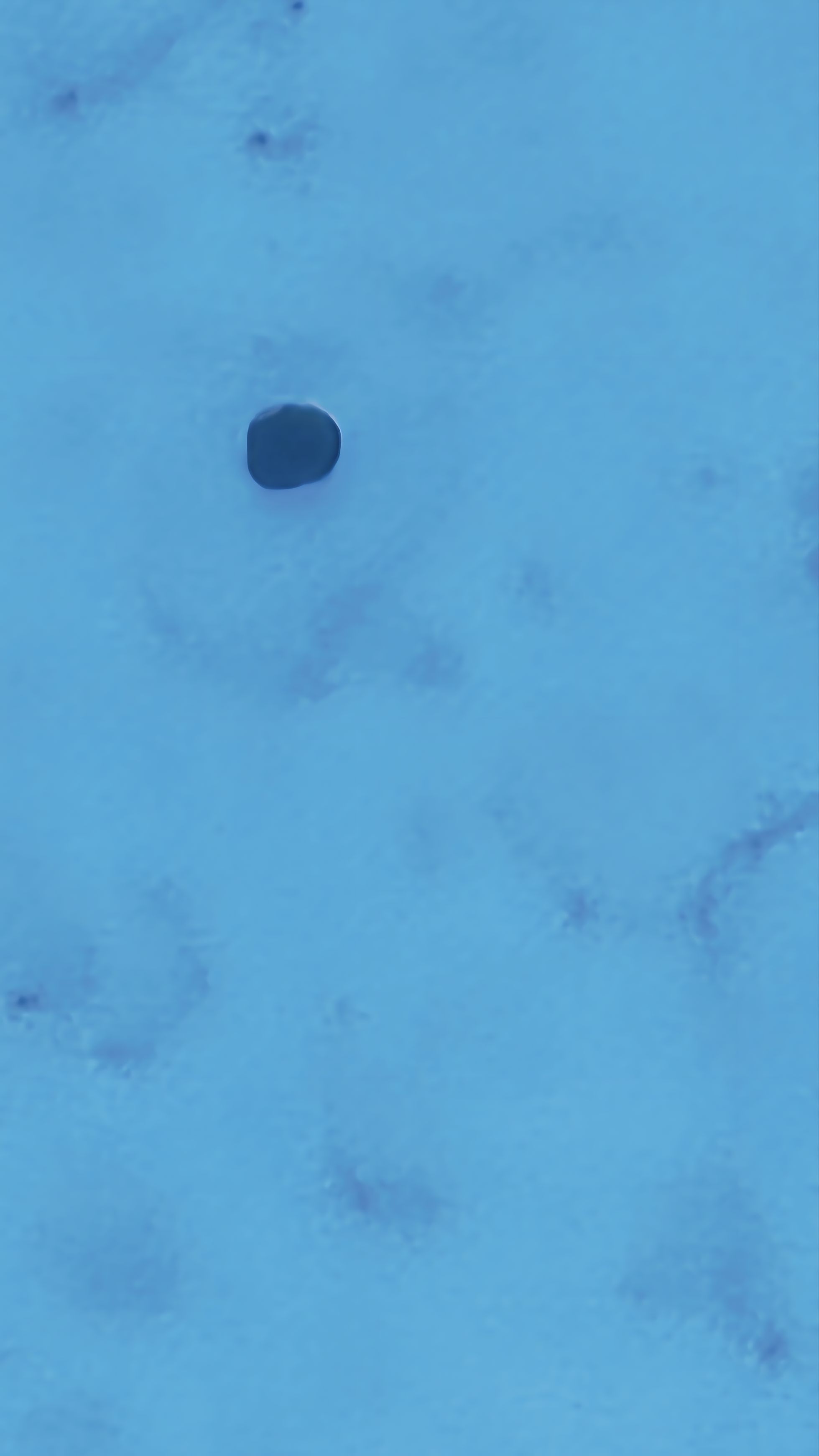 Image from report NUFORC_187965