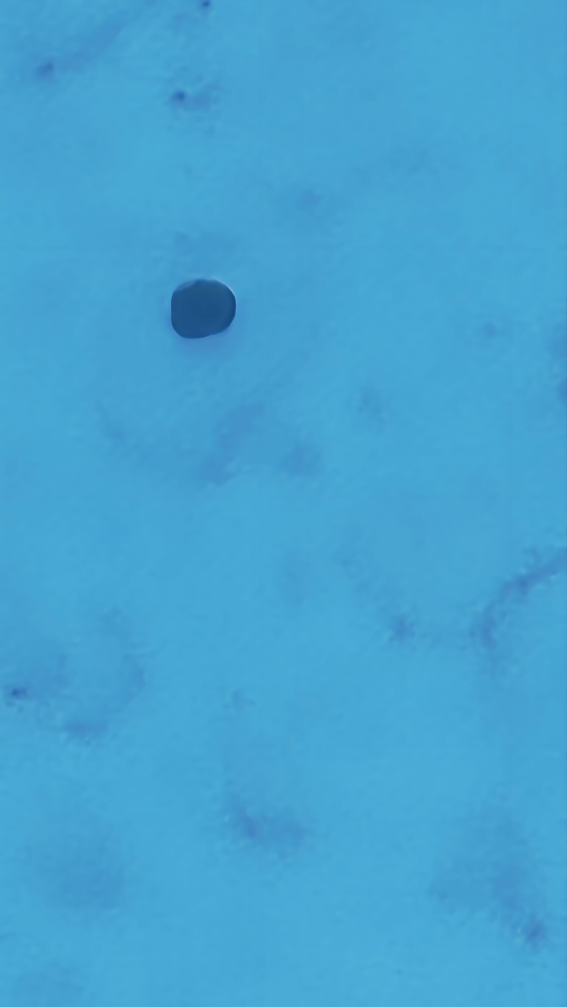 Image from report NUFORC_187965