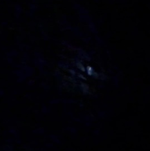 Image from report NUFORC_188479