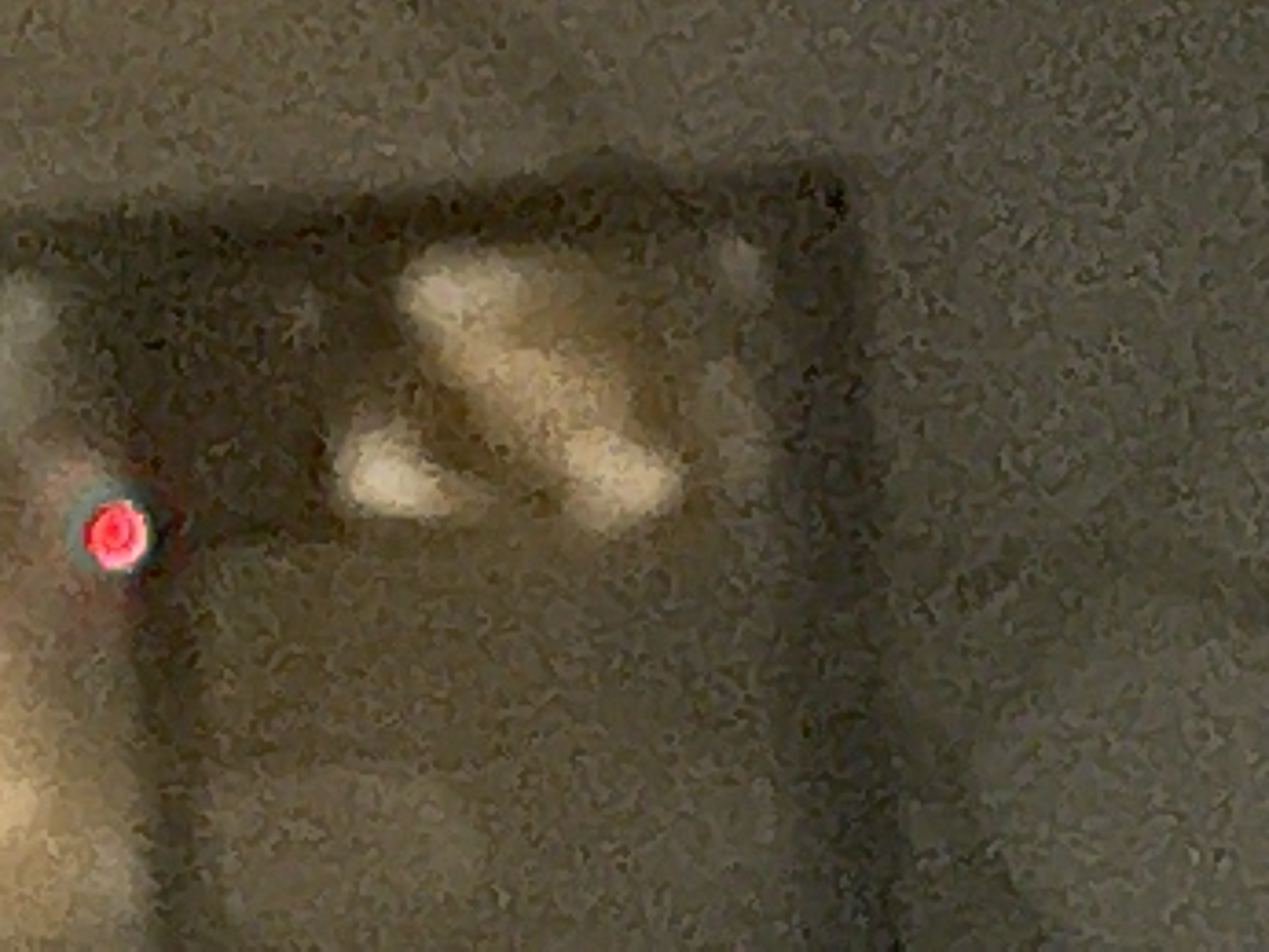 Image from report NUFORC_188539