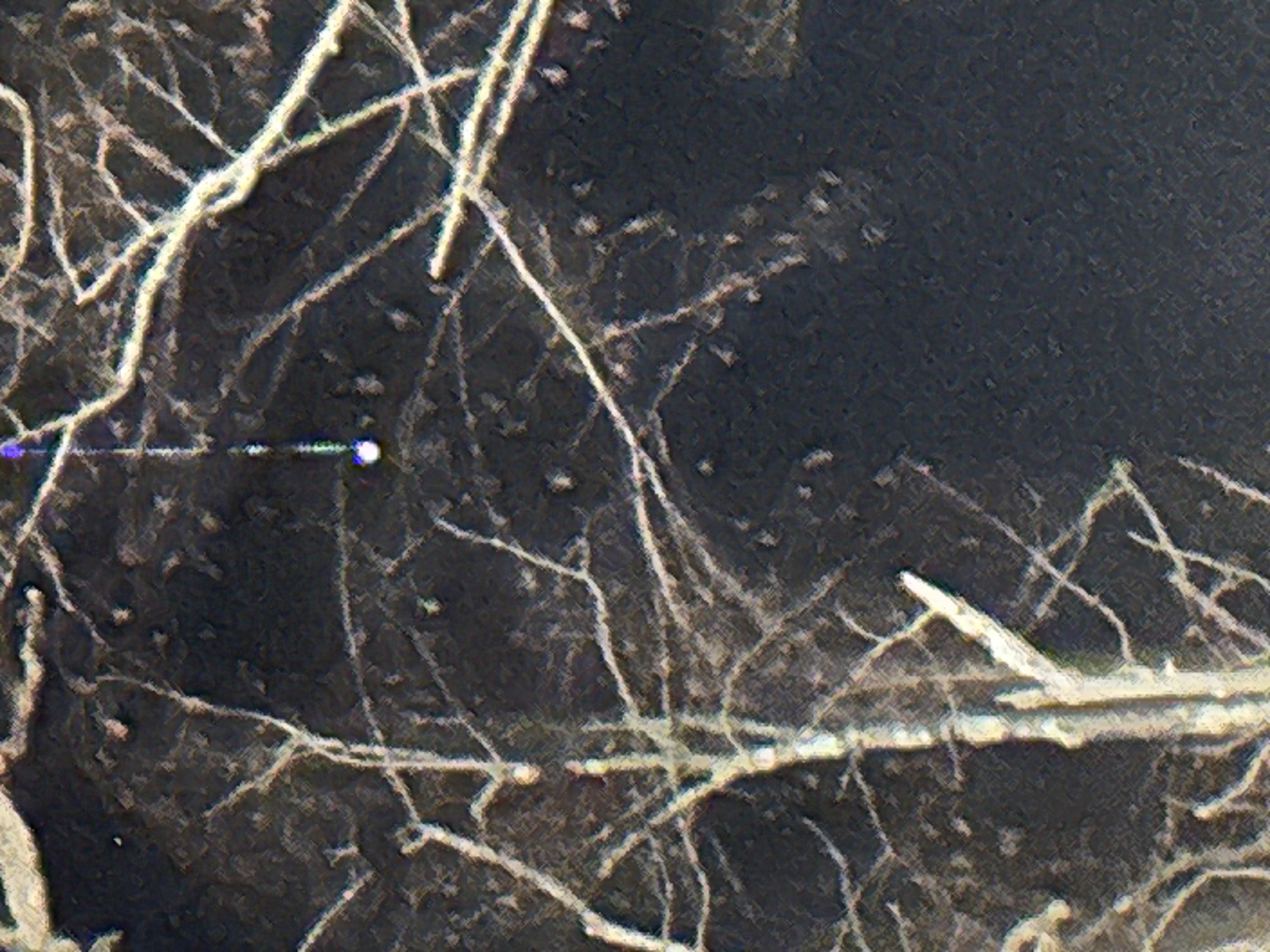 Image from report NUFORC_188572