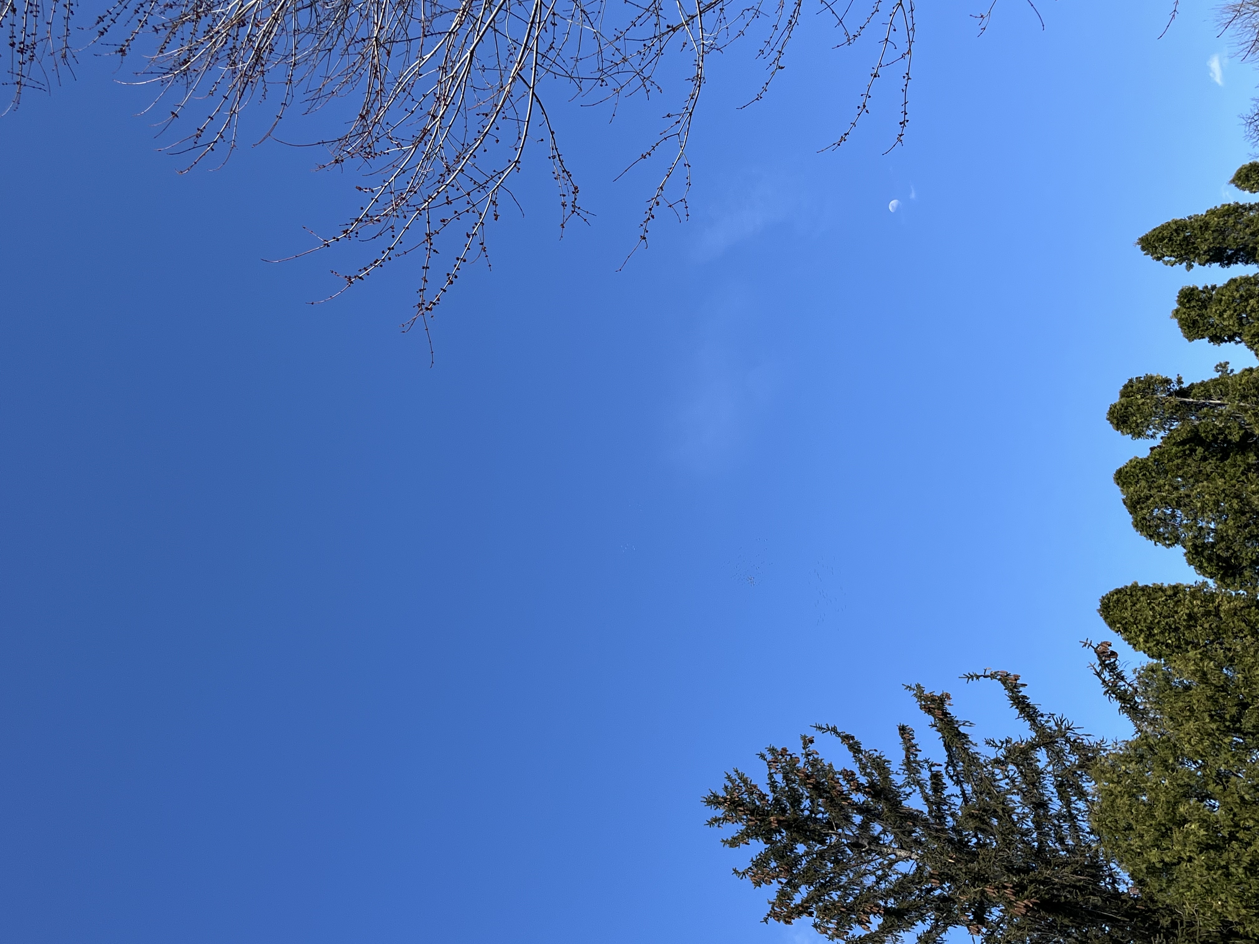 Image from report NUFORC_188752