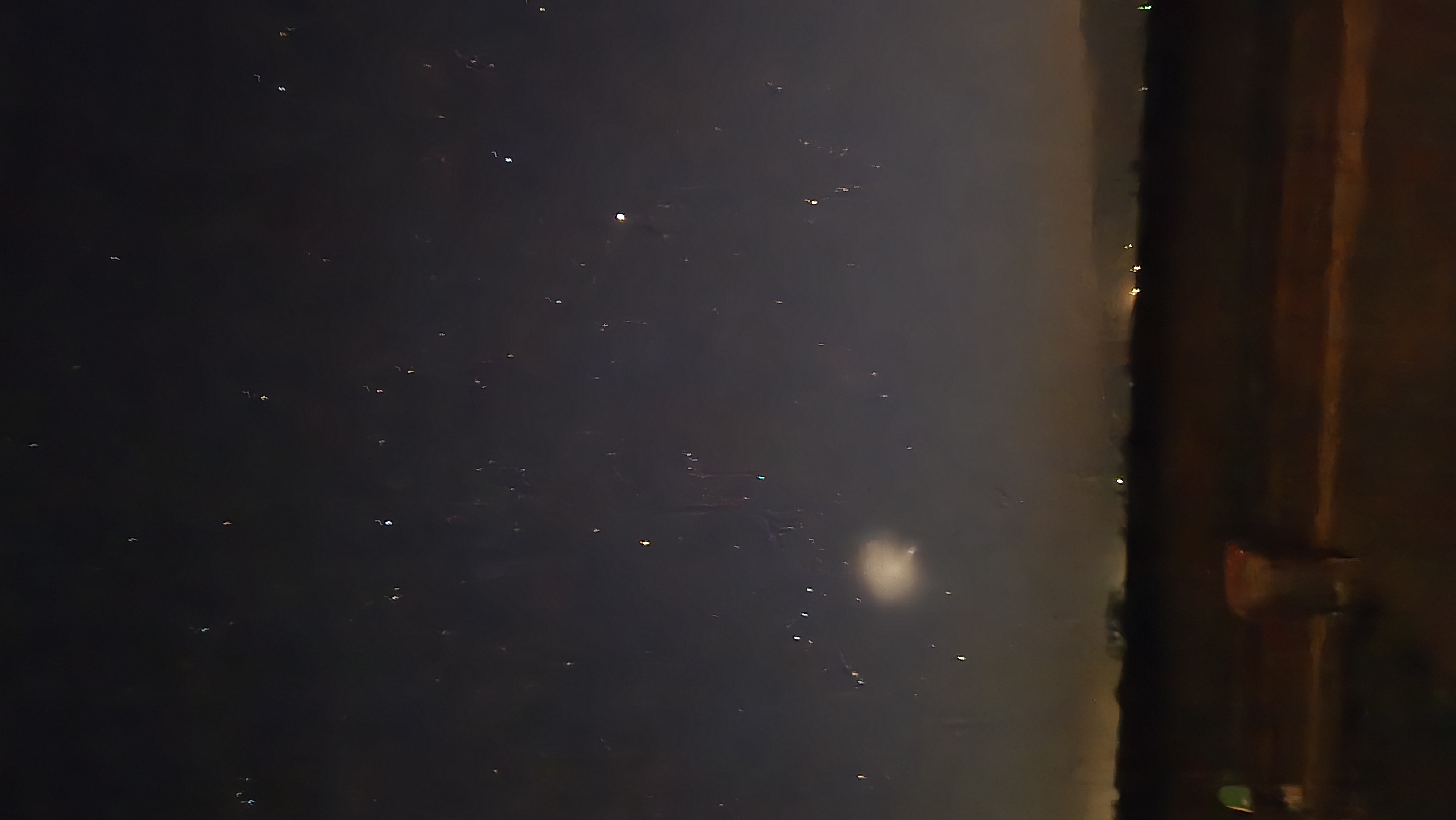 Image from report NUFORC_189089