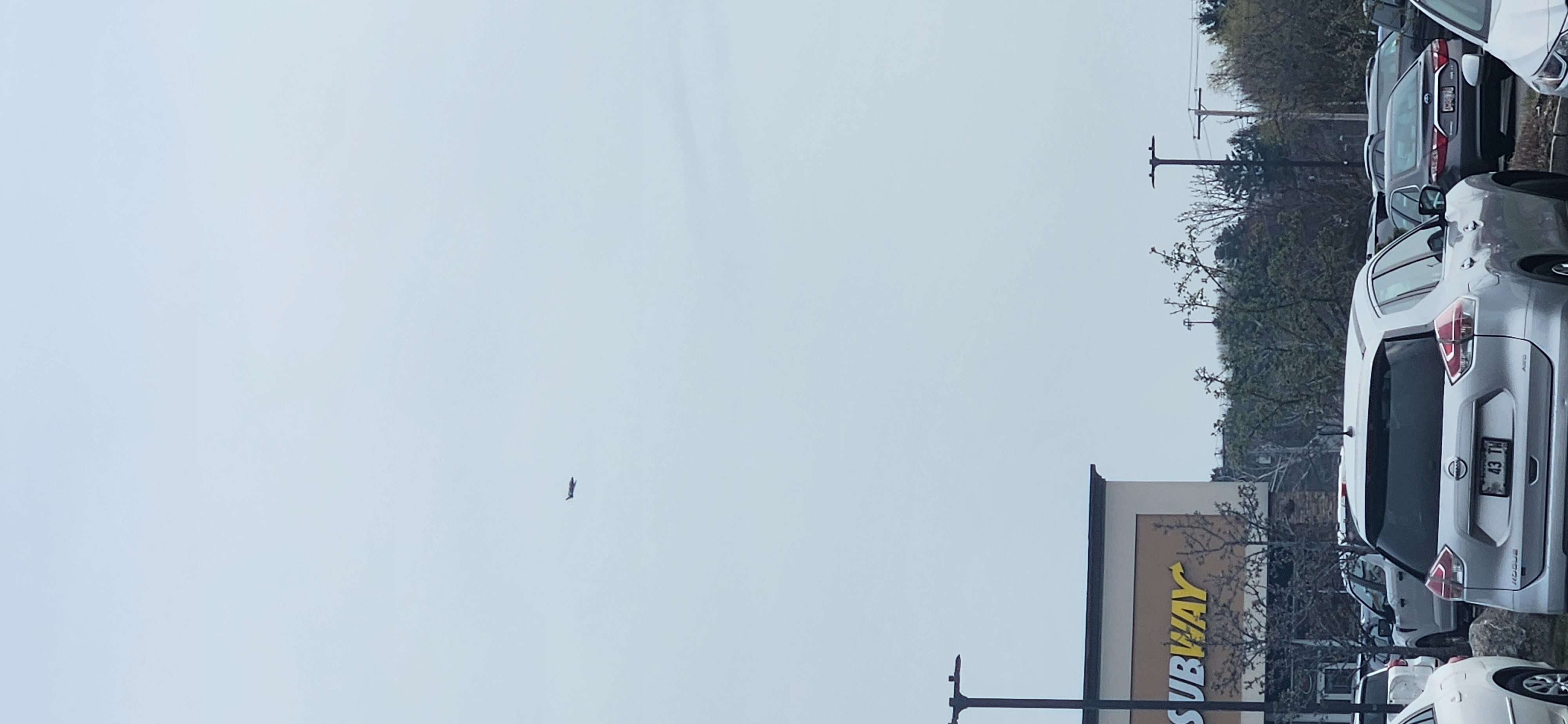 Image from report NUFORC_189305