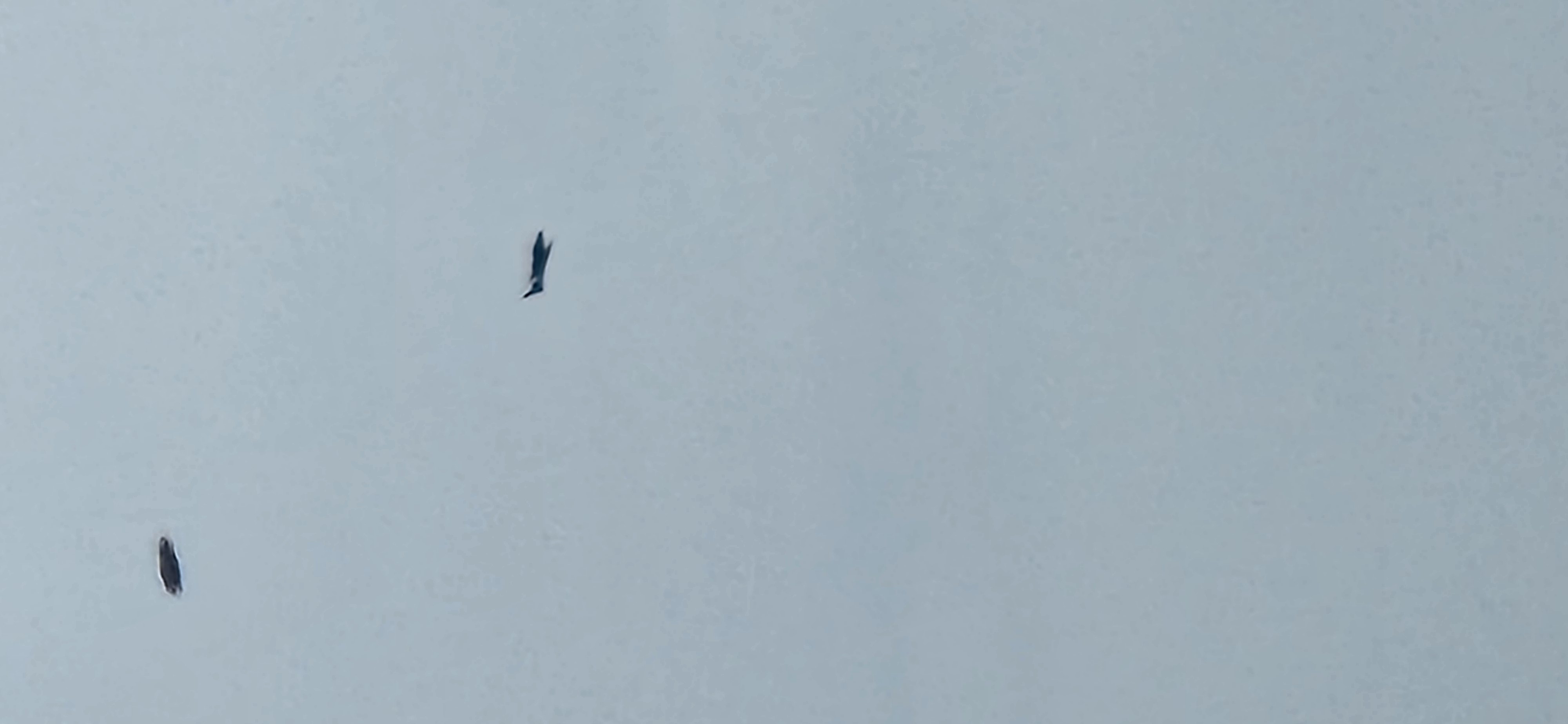 Image from report NUFORC_189305